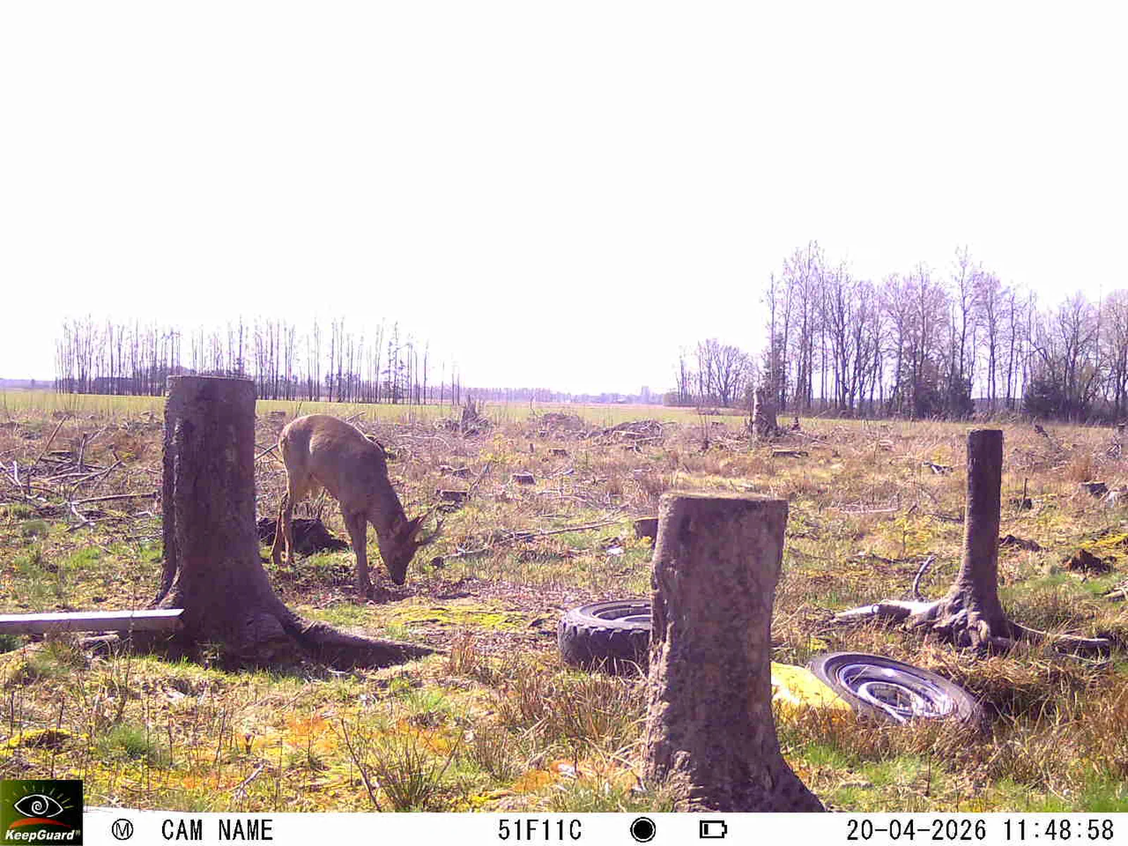 Bild: 1776678809461841182_04200744.webp