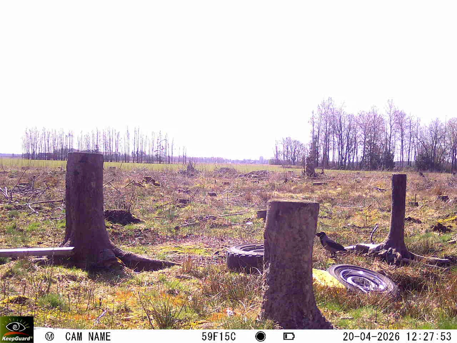 Bild: 1776681156992615023_04200746.webp