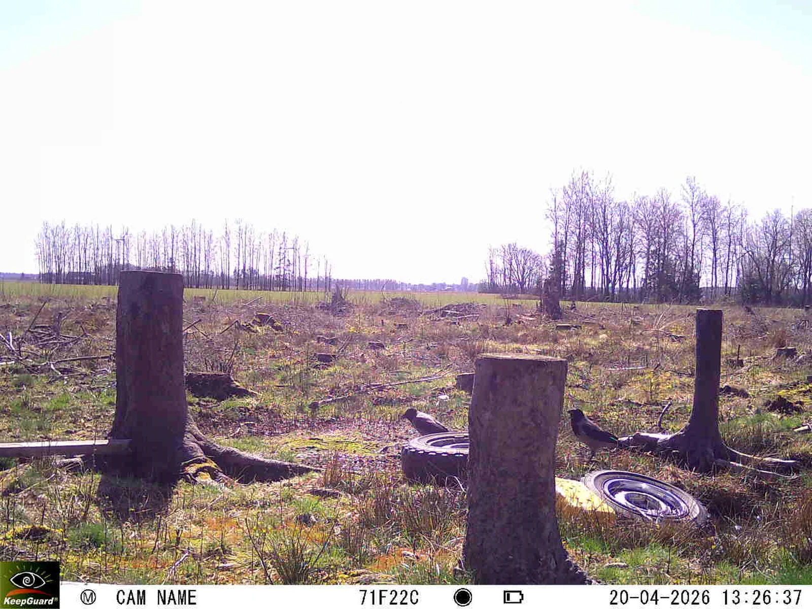 Bild: 1776684666696912821_04200747.webp