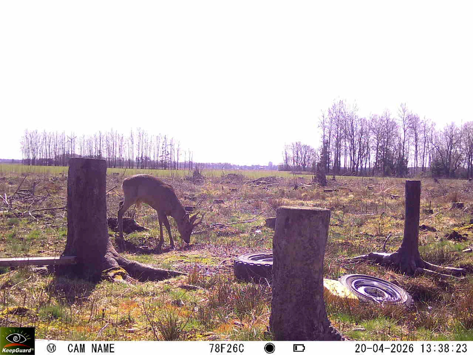 Bild: 1776685383844541500_04200748.webp