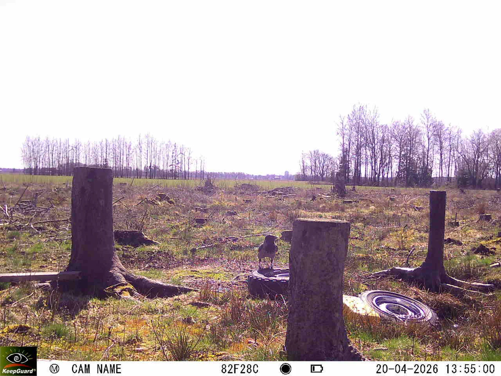 Bild: 1776686369821847517_04200749.webp