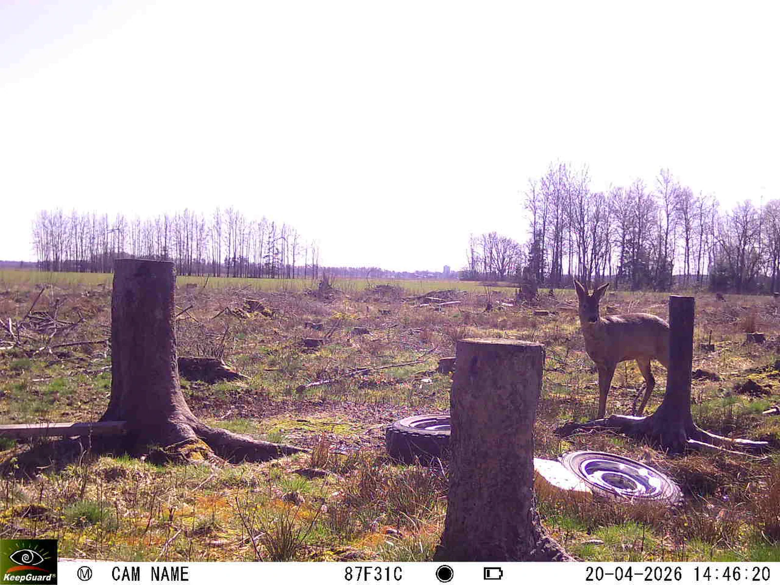 Bild: 1776689451745713368_04200750.webp