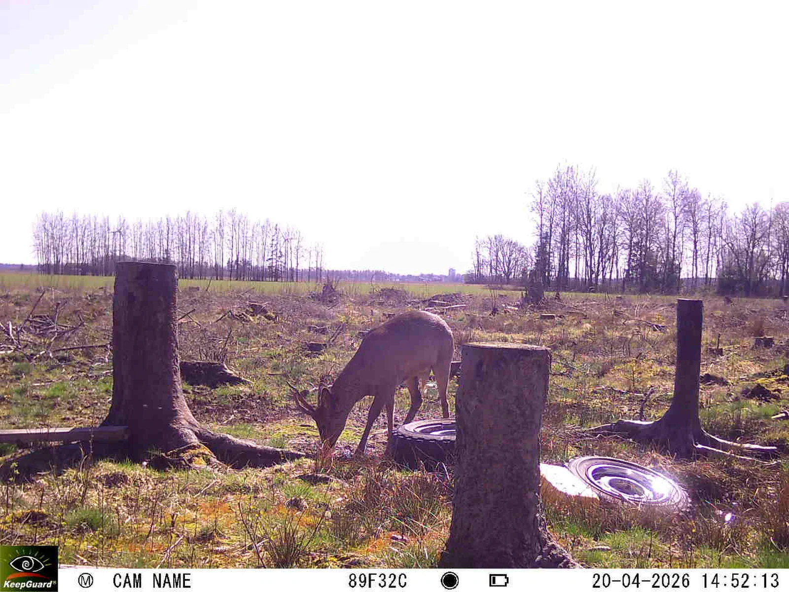 Bild: 1776689801855368165_04200751.webp