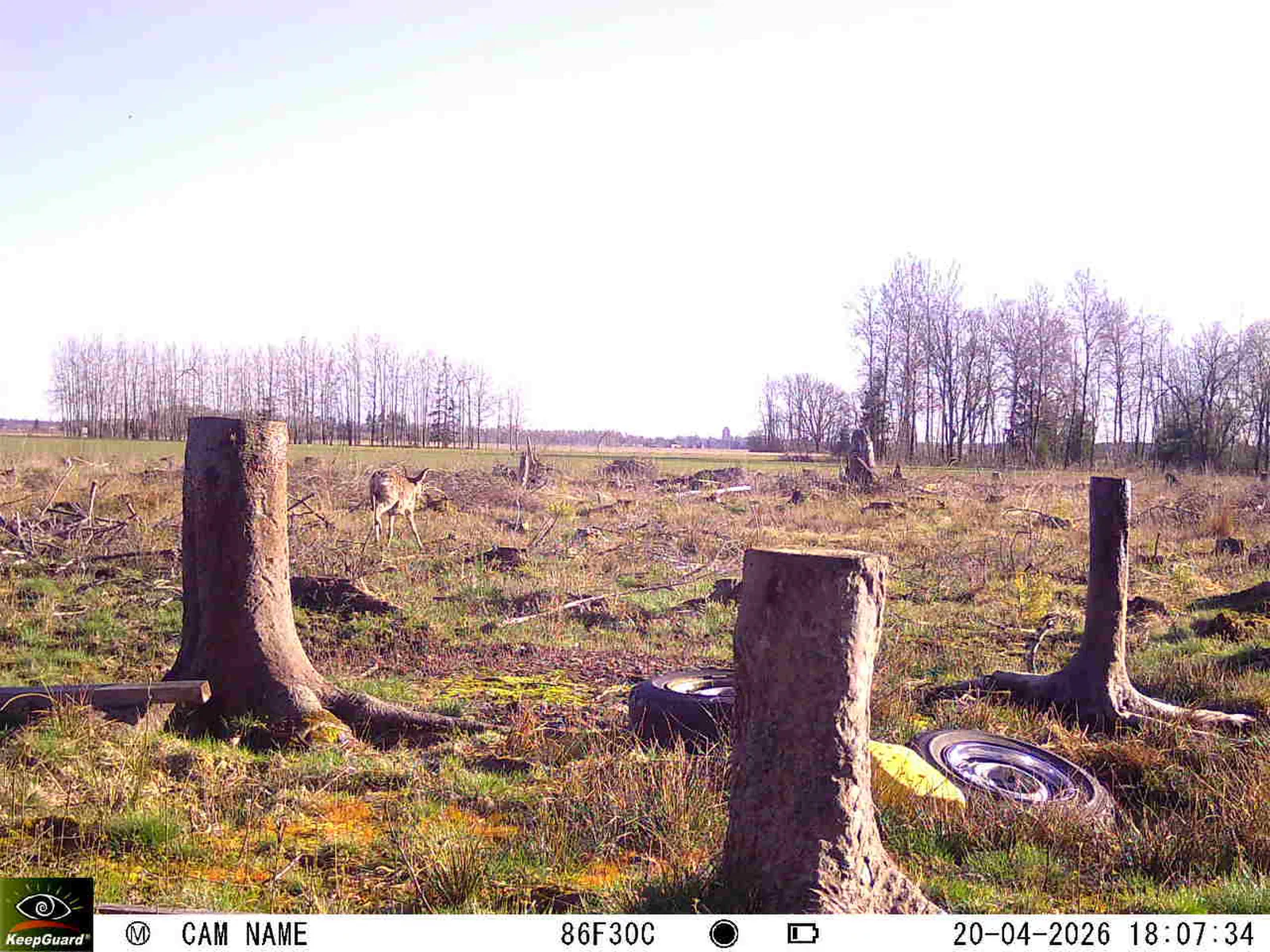 Bild: 1776701524465490296_04200752.webp