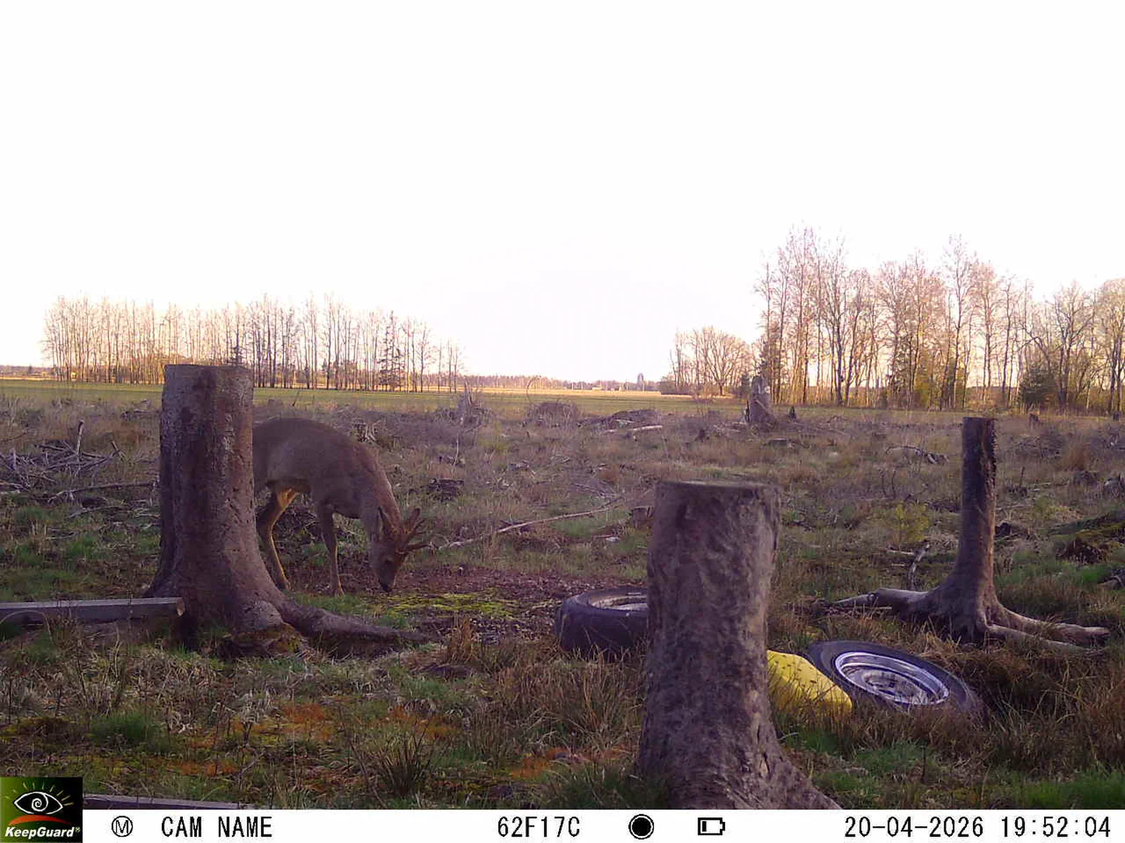 Bild: 1776707877272062365_04200753.webp