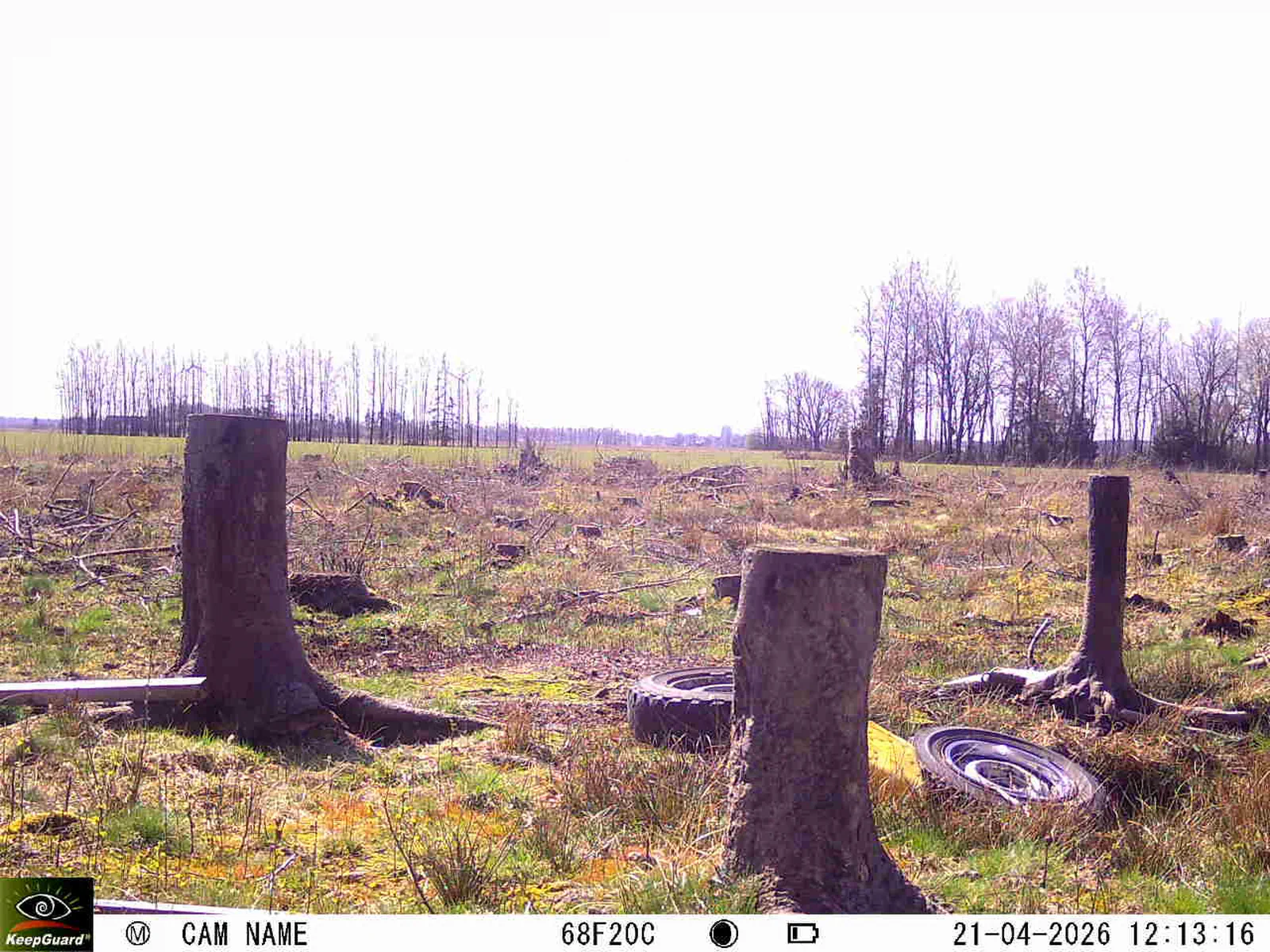 Bild: 1776766676765664610_04210754.webp