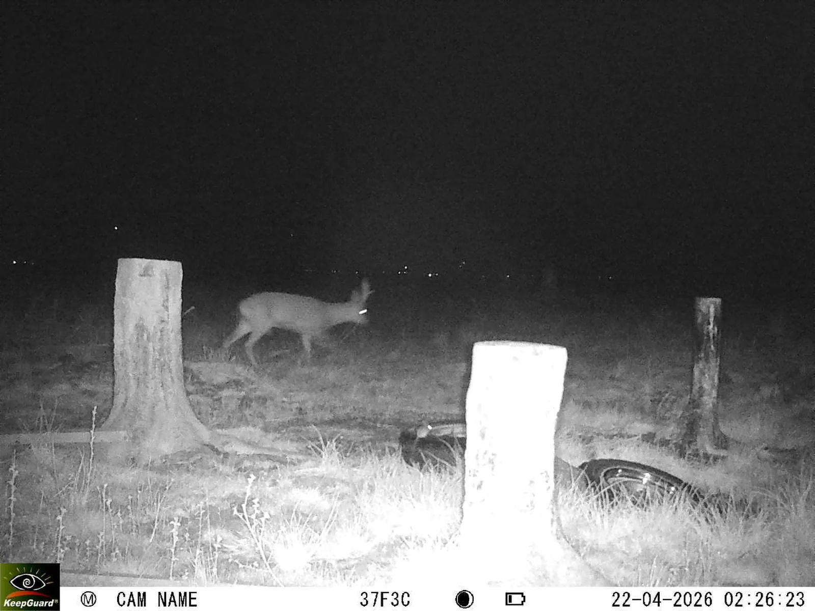 Bild: 1776817855055845927_04220755.webp