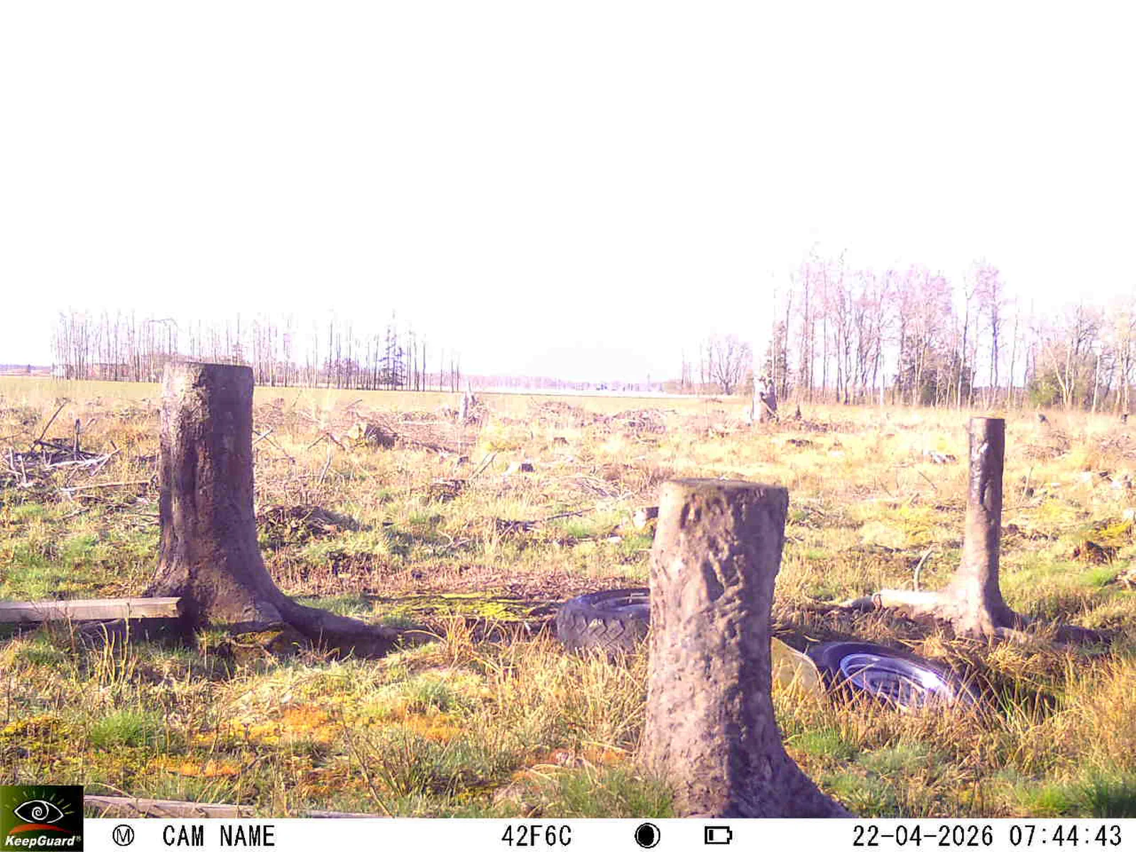 Bild: 1776836955396045865_04220756.webp