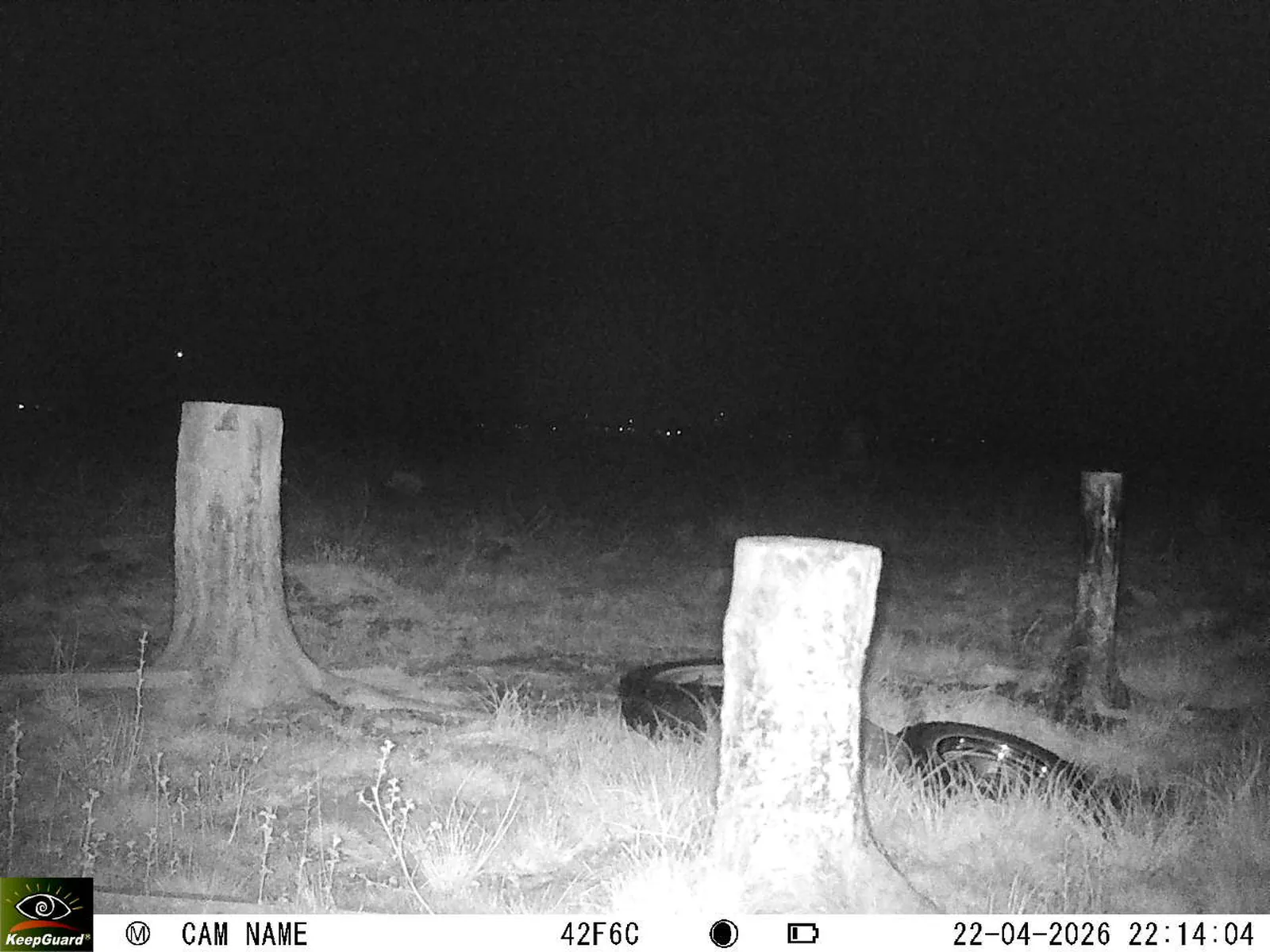 Bild: 1776889115558599280_04220757.webp