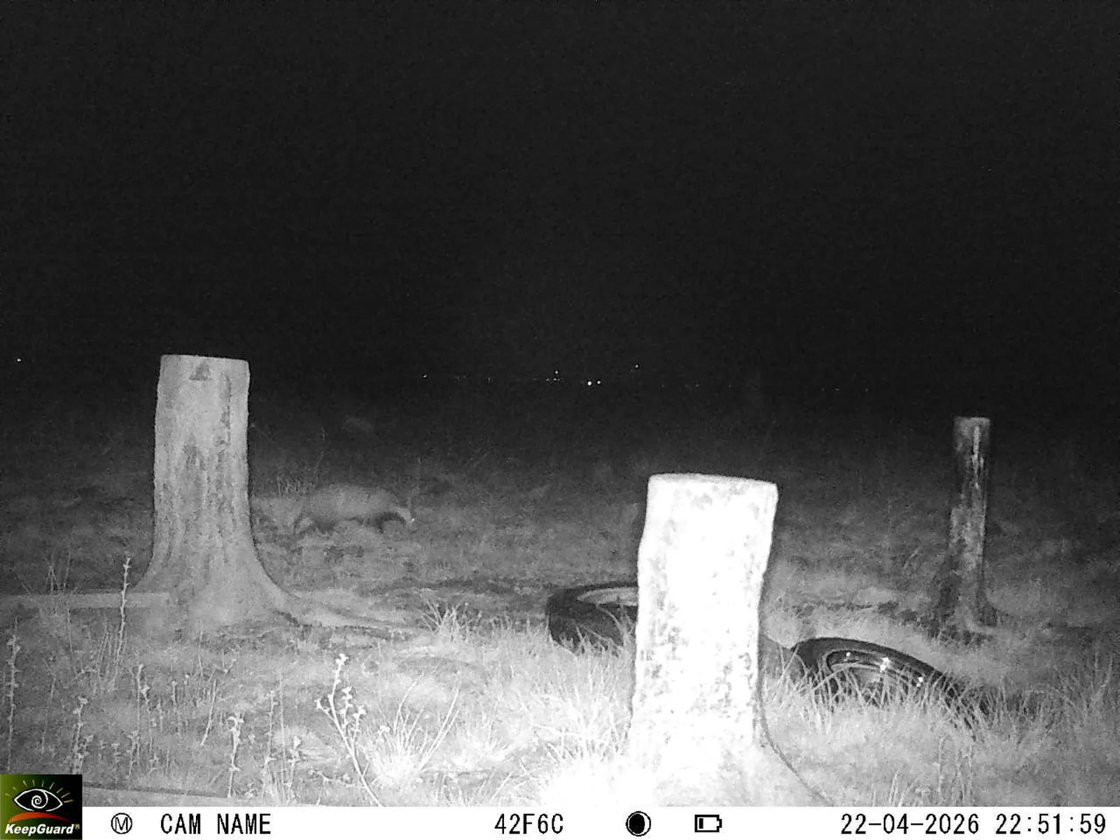 Bild: 1776891391412043008_04220758.webp