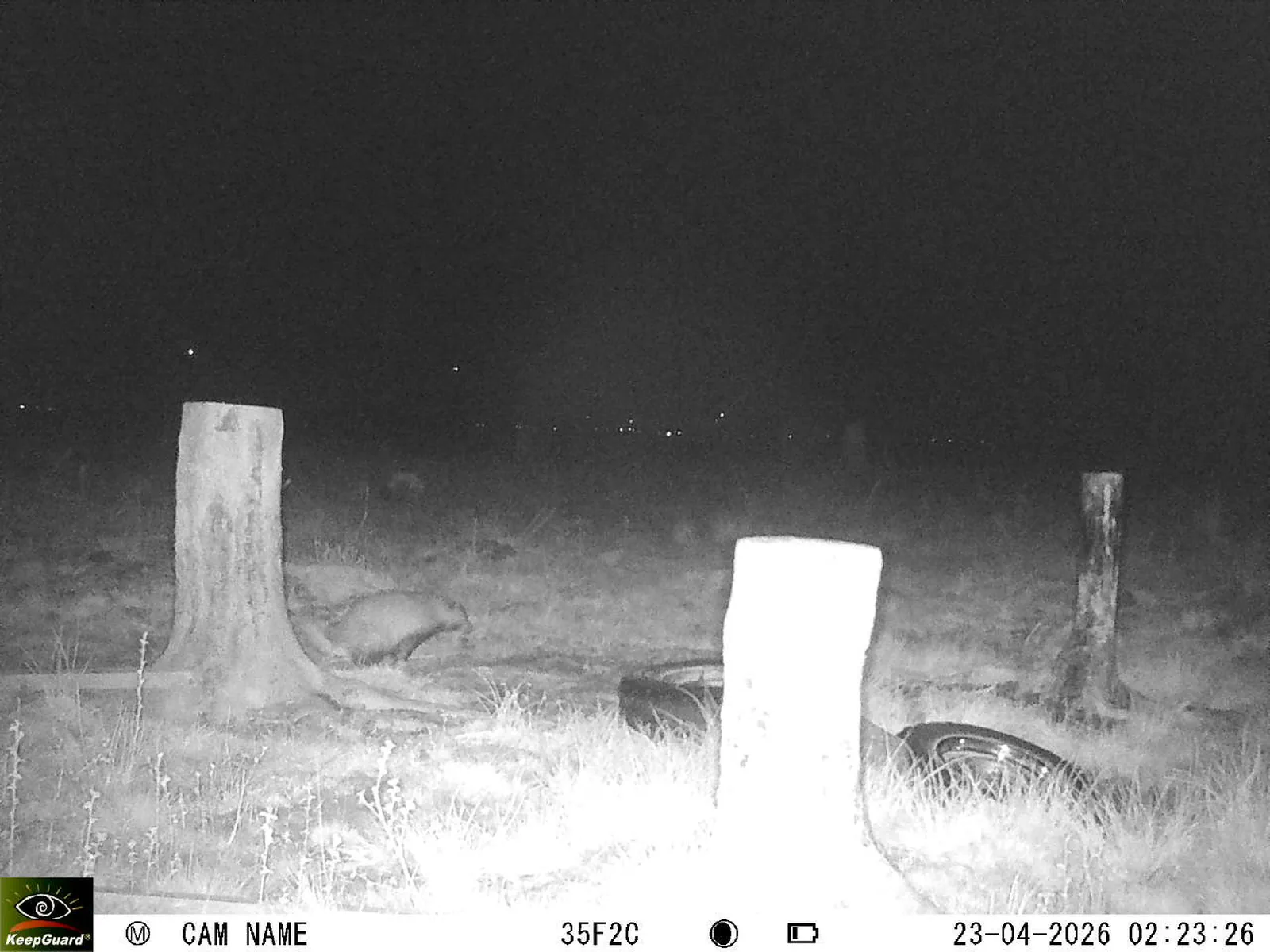 Bild: 1776904080268463355_04230759.webp