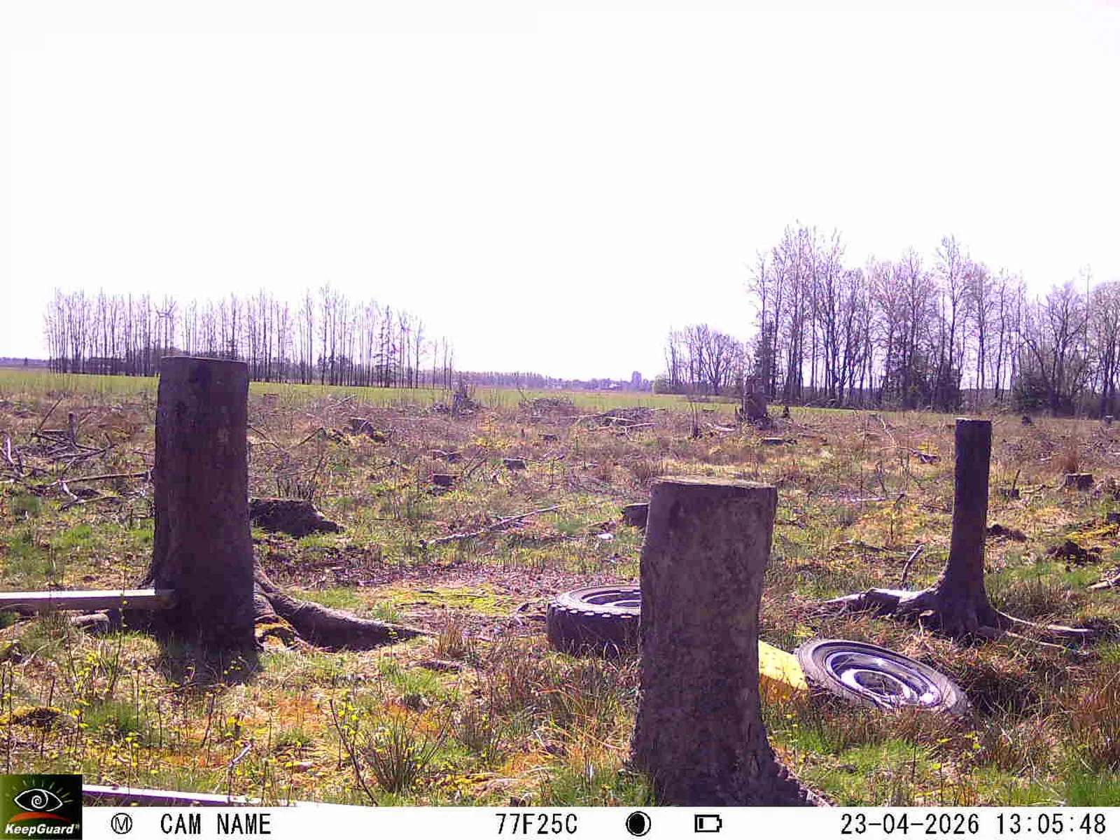 Bild: 1776942623766261463_04230760.webp