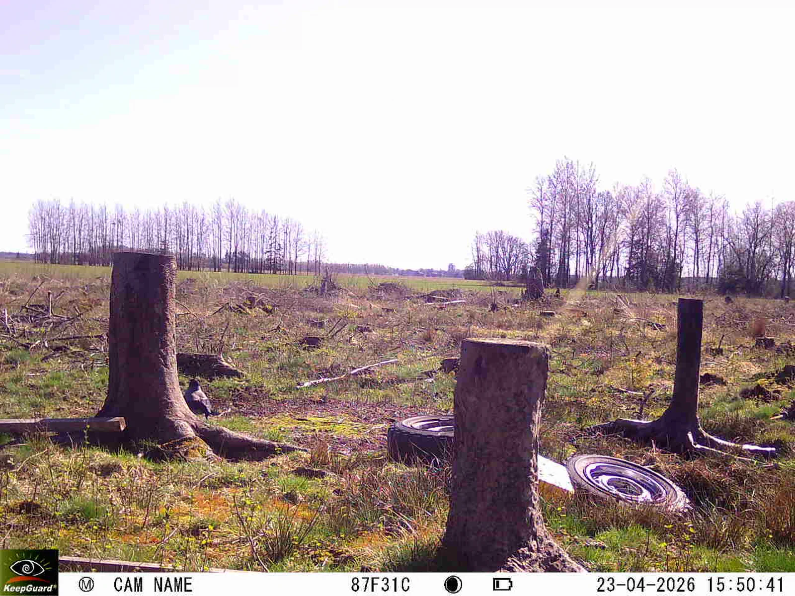 Bild: 1776952512957885438_04230761.webp