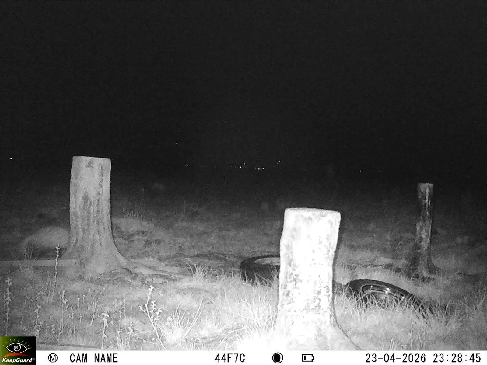 Bild: 1776979998263495619_04230762.webp