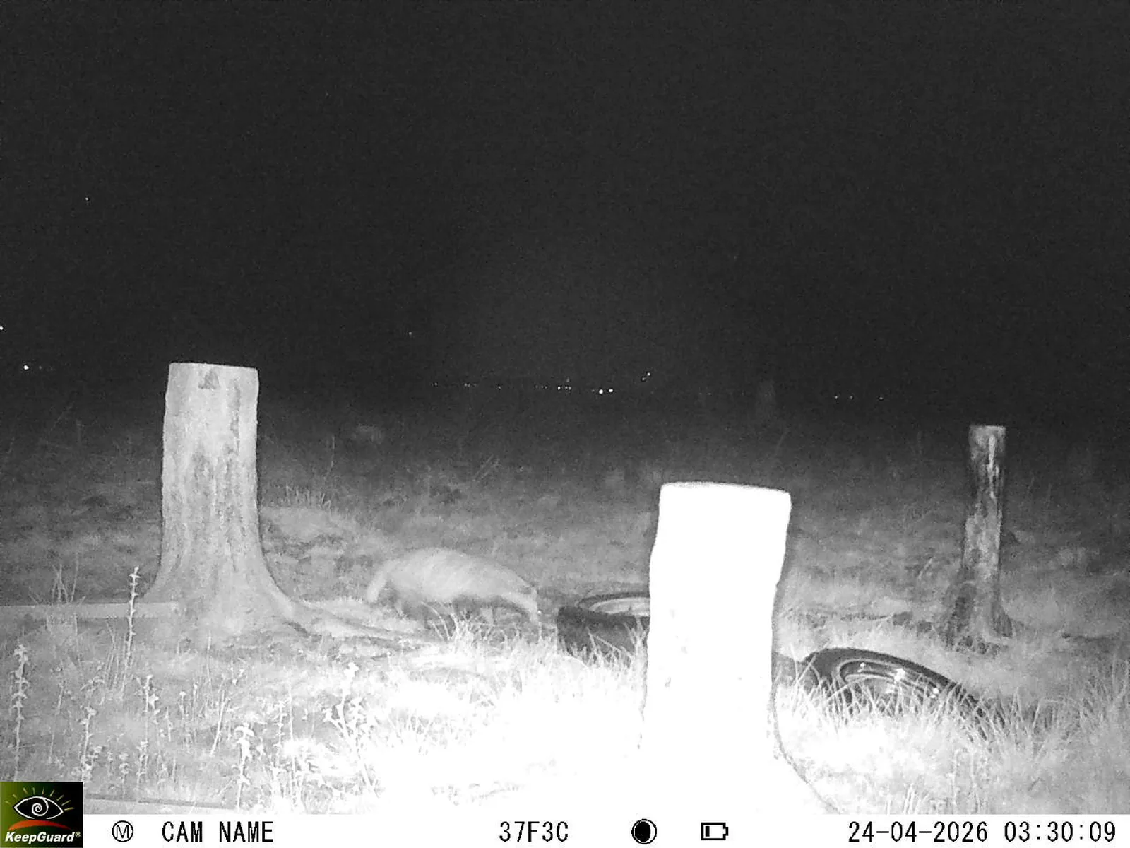 Bild: 1776994482003717380_04240763.webp