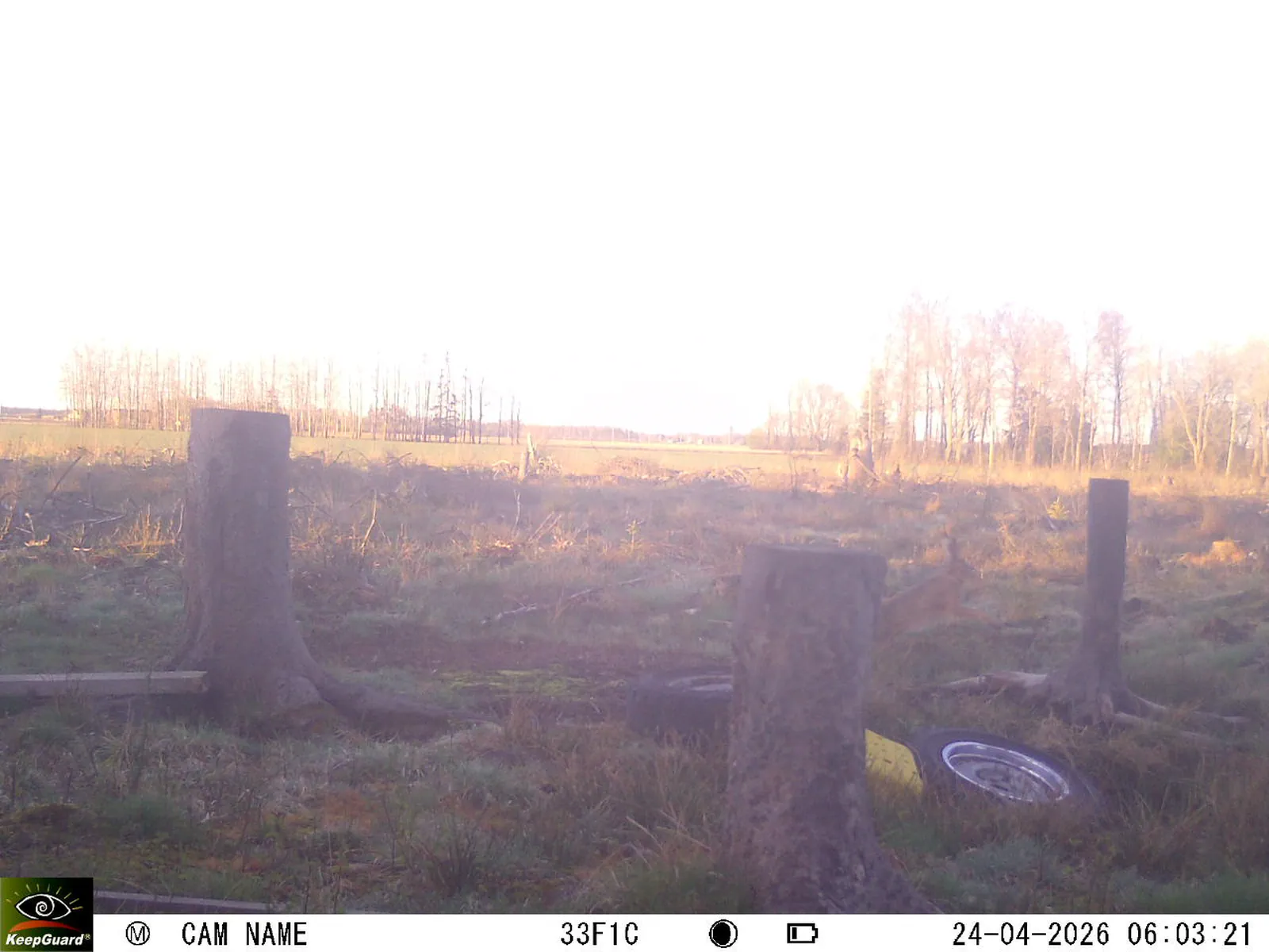 Bild: 1777003679738272967_04240764.webp