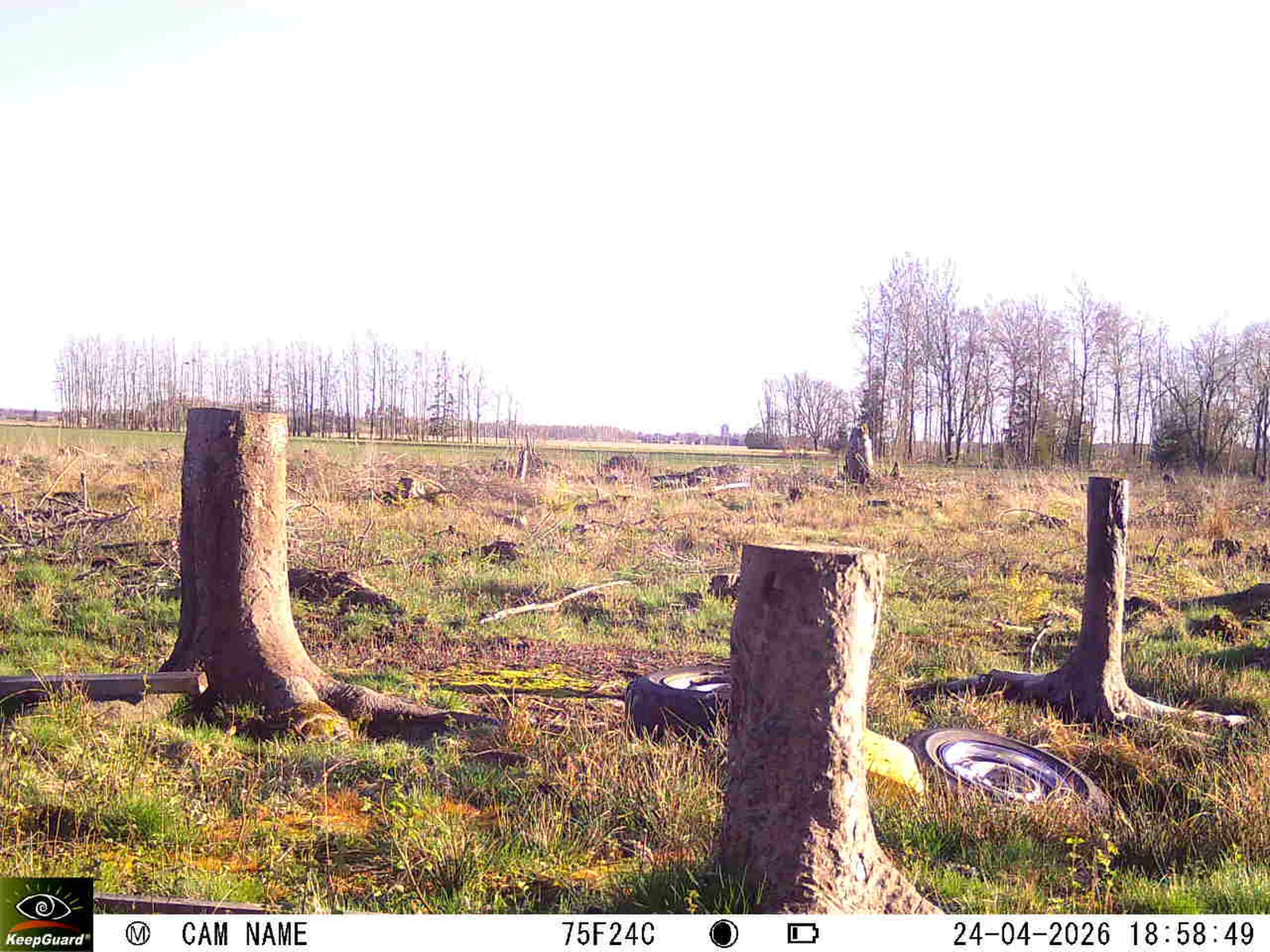 Bild: 1777050203723141867_04240765.webp