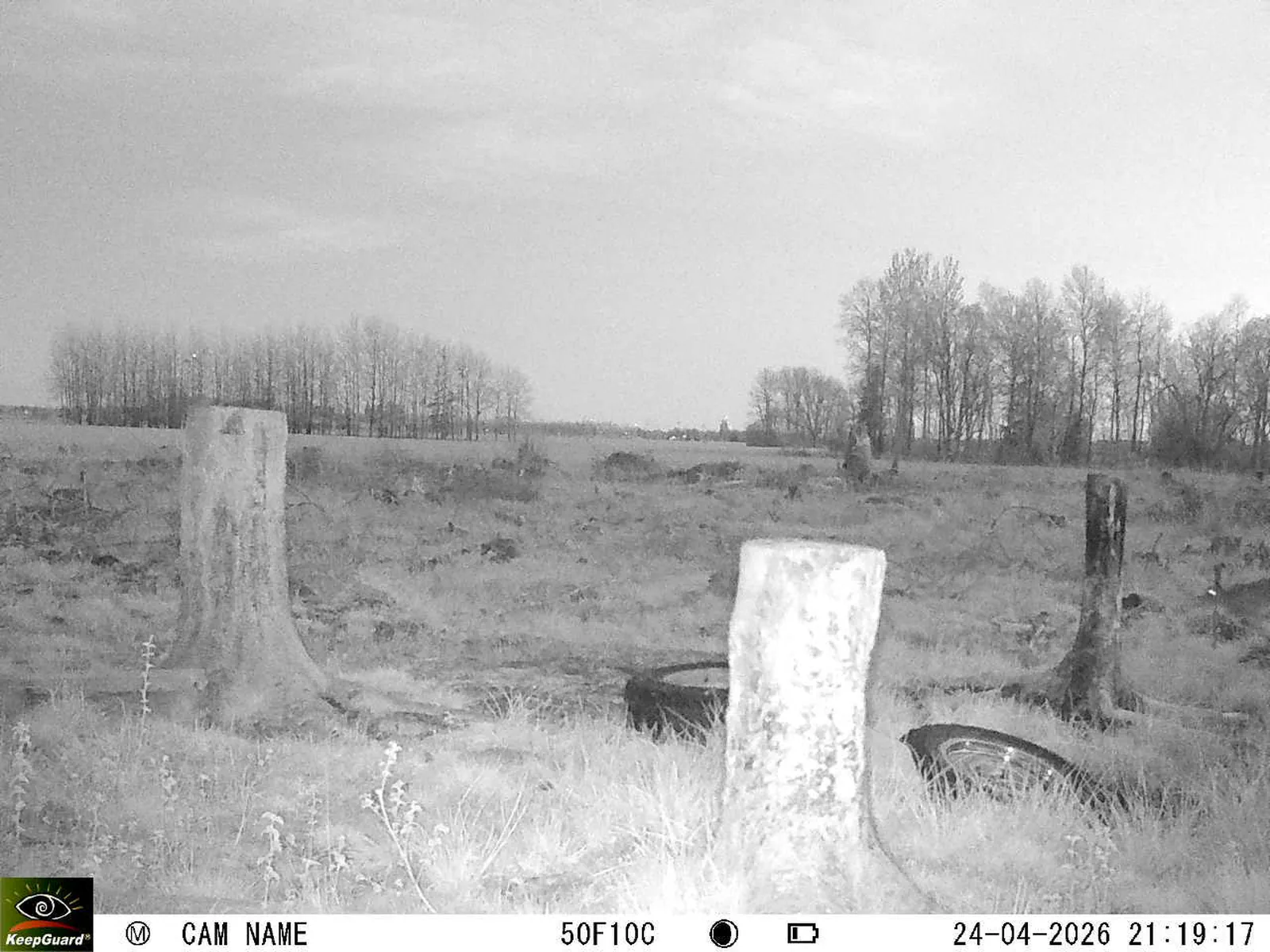 Bild: 1777058630481434070_04240766.webp