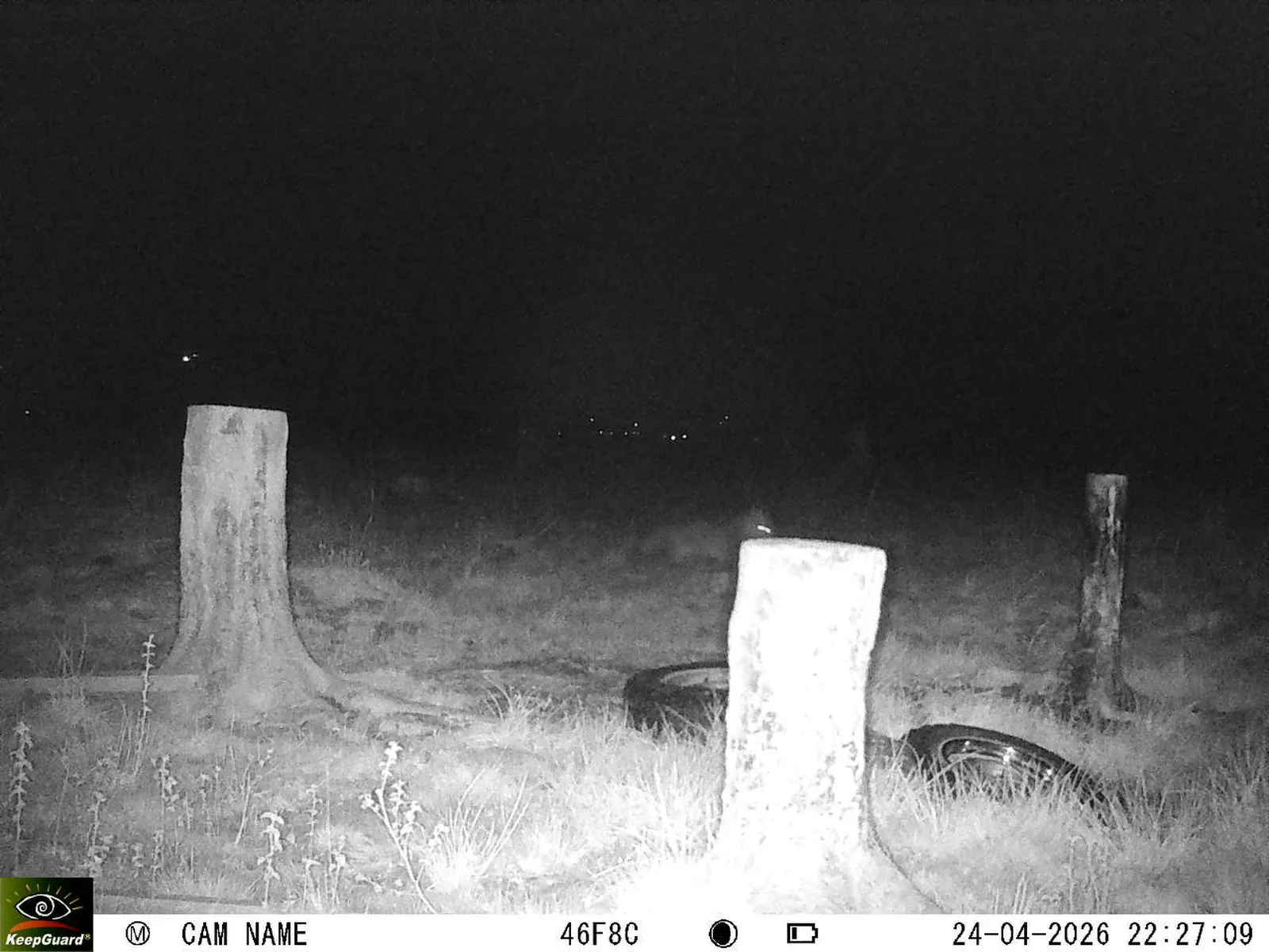 Bild: 1777062702993820603_04240767.webp