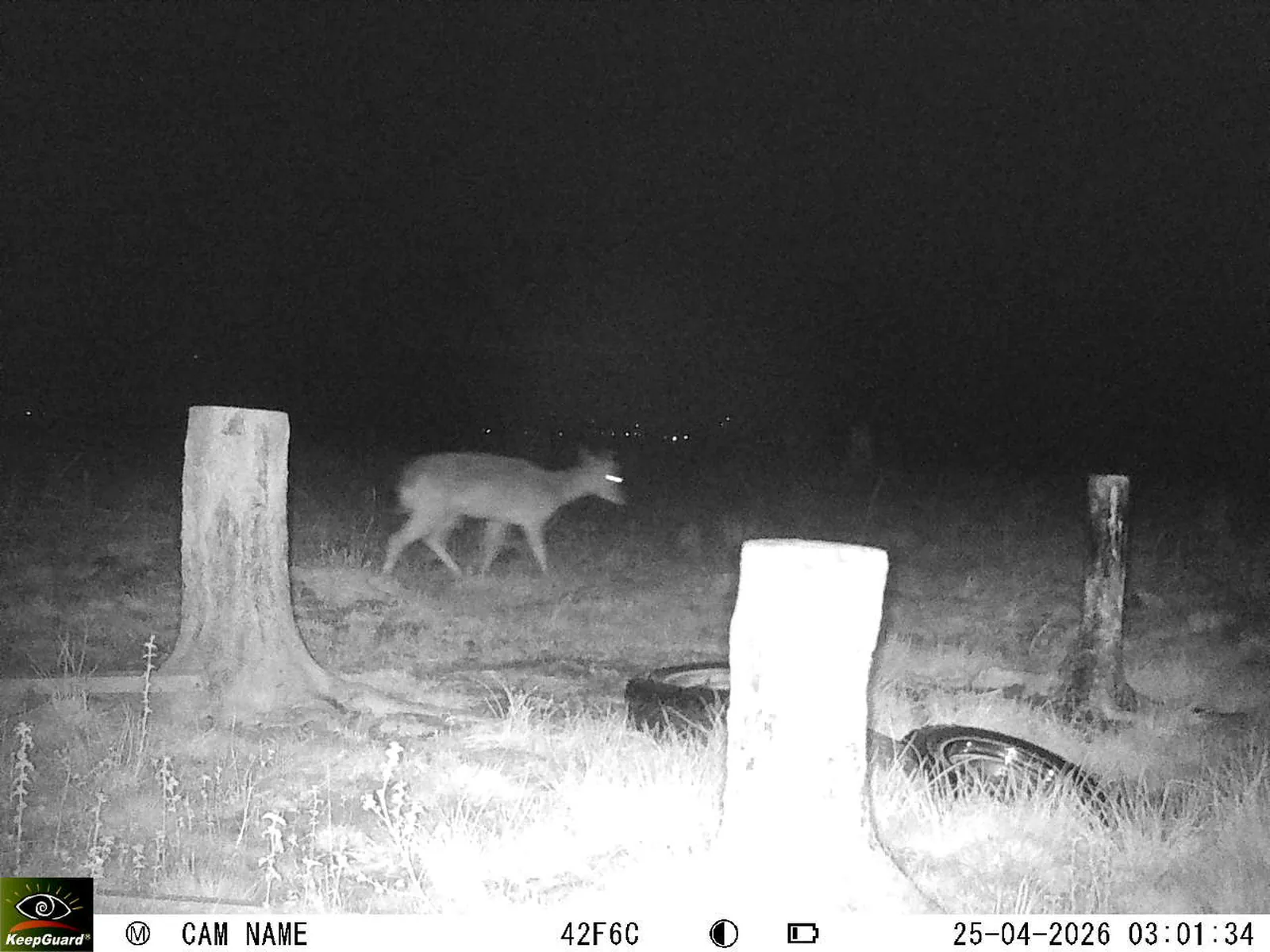 Bild: 1777079167675082639_04250768.webp