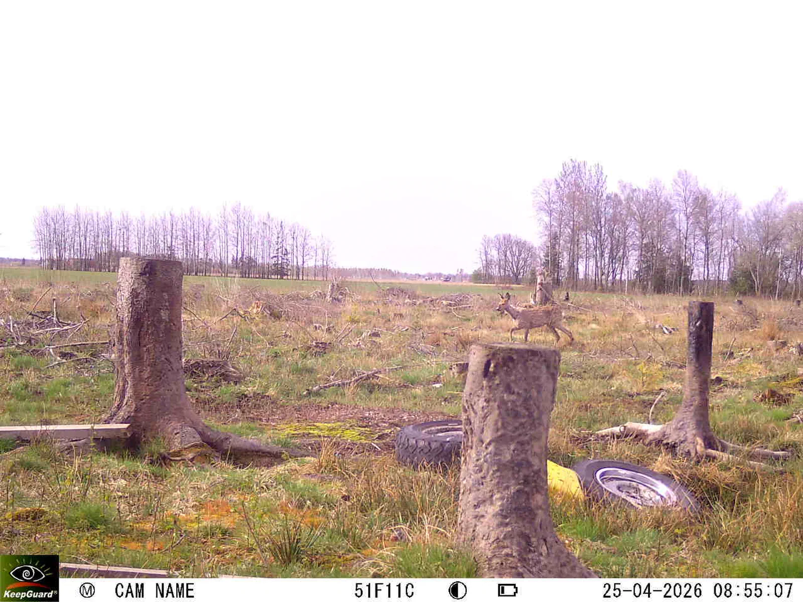 Bild: 1777100381152295342_04250769.webp