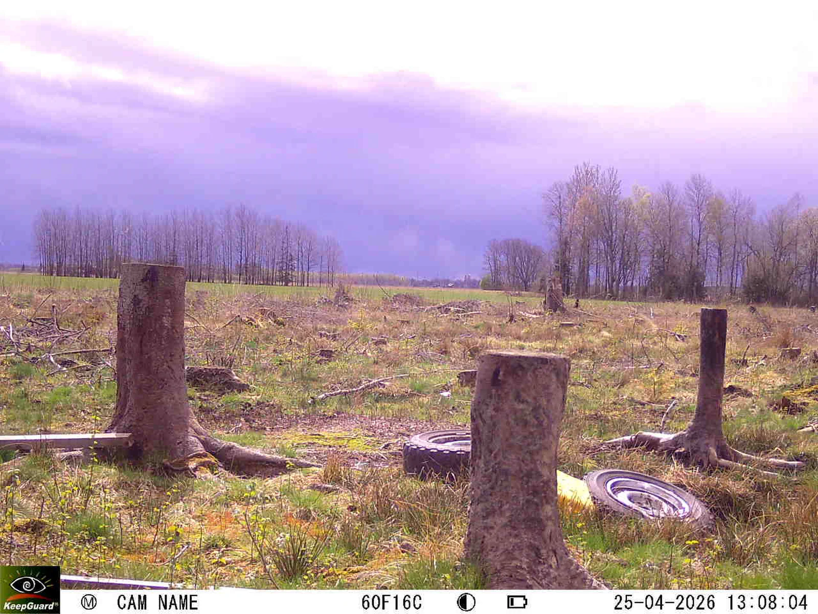 Bild: 1777115556833477069_04250770.webp