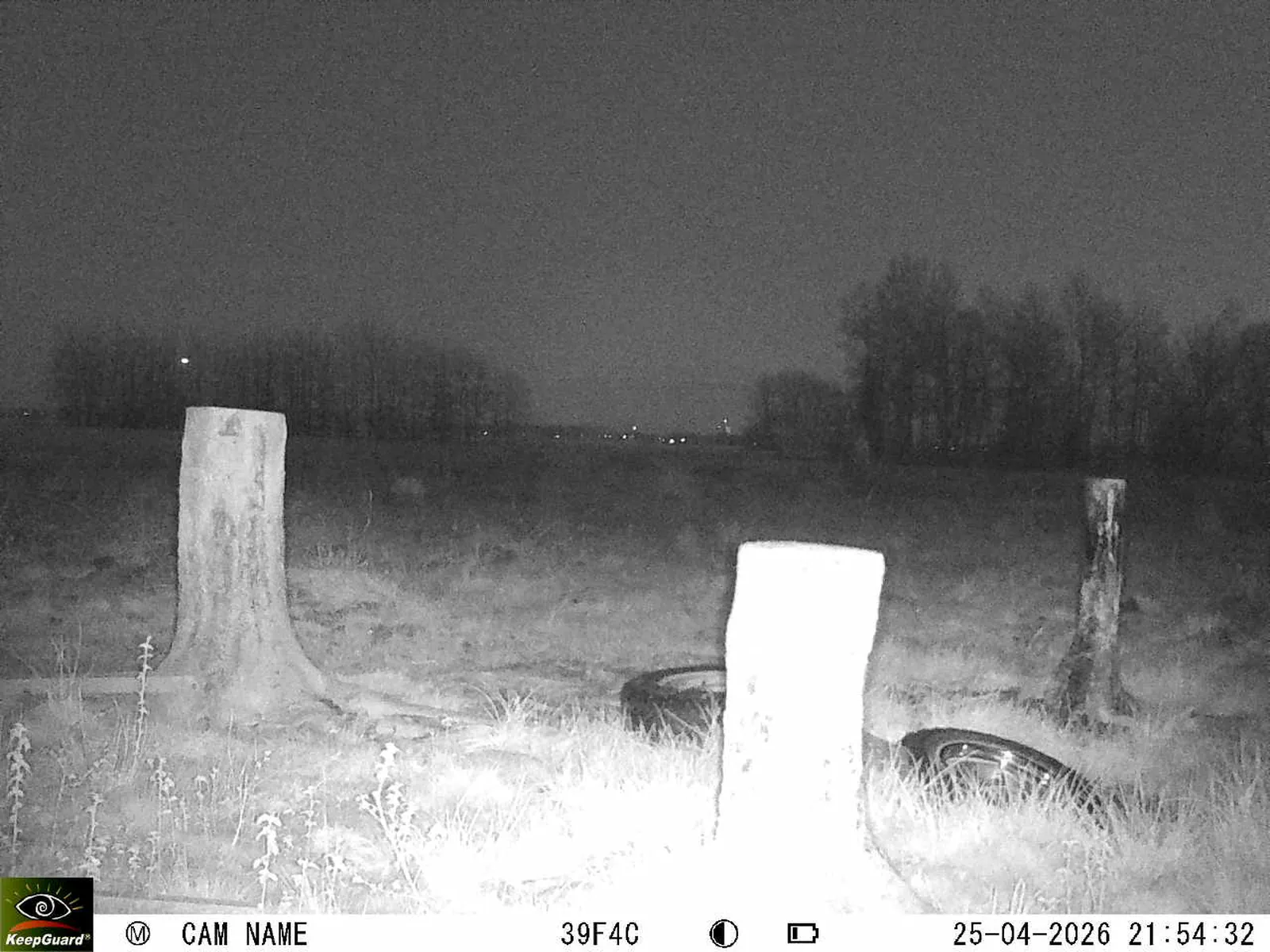 Bild: 1777147145415171506_04250771.webp