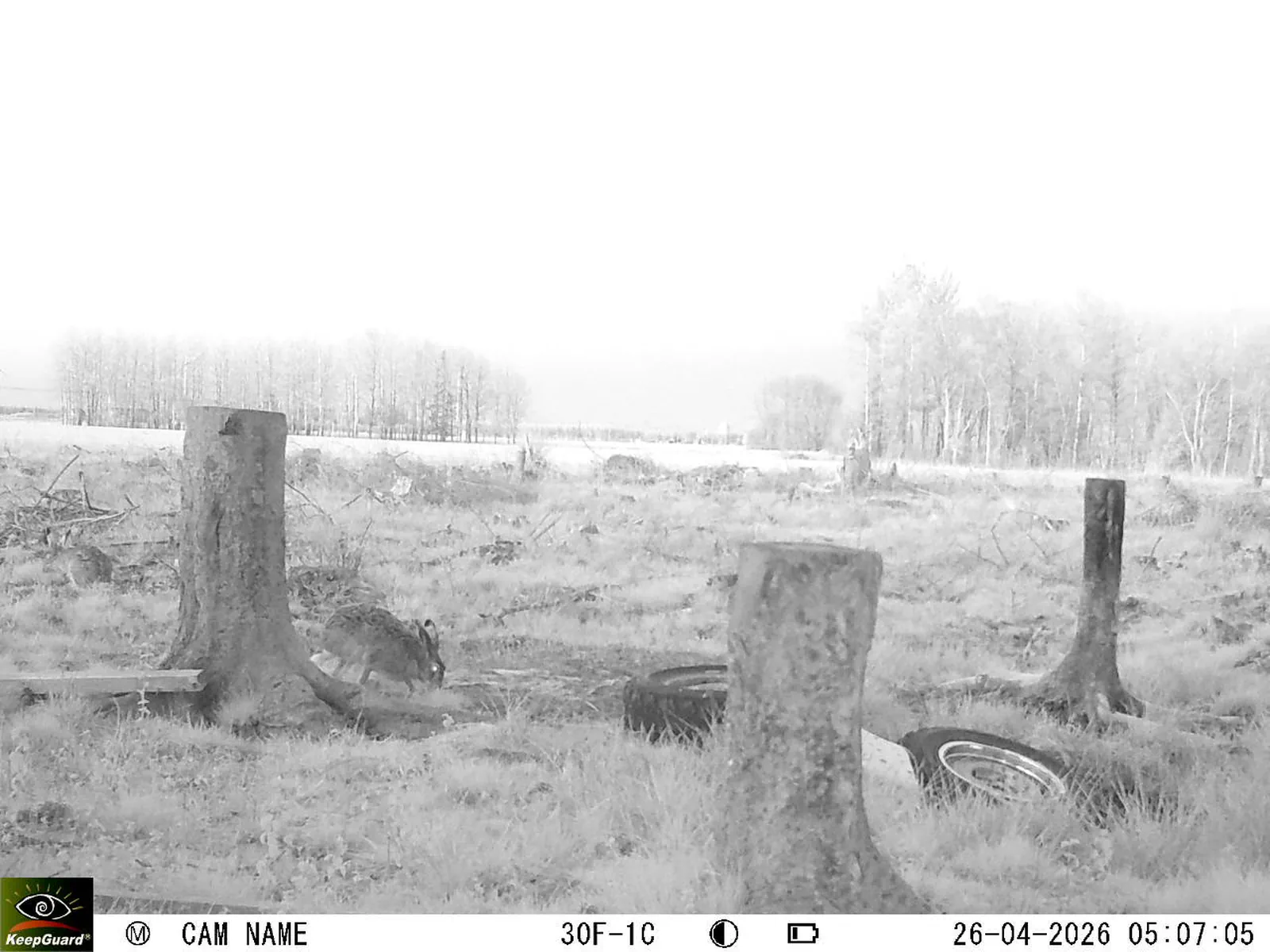 Bild: 1777173099435651501_04260772.webp