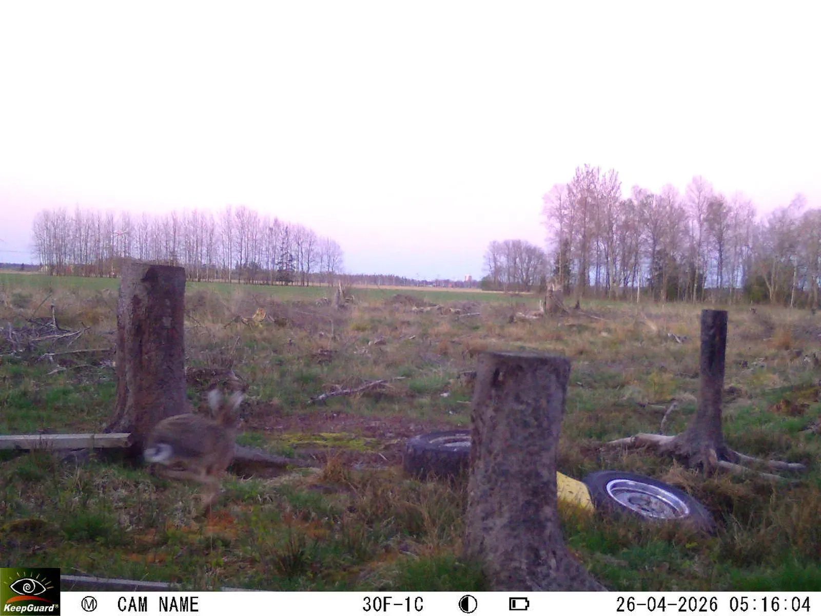 Bild: 1777173639008898387_04260773.webp