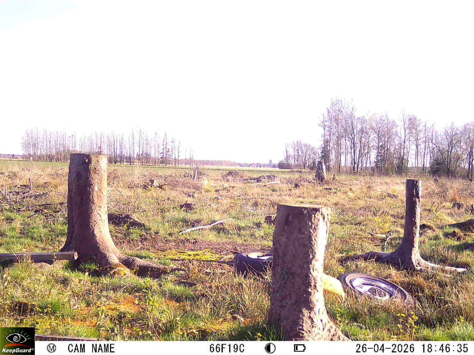 Bild: 1777222269581846133_04260774.webp