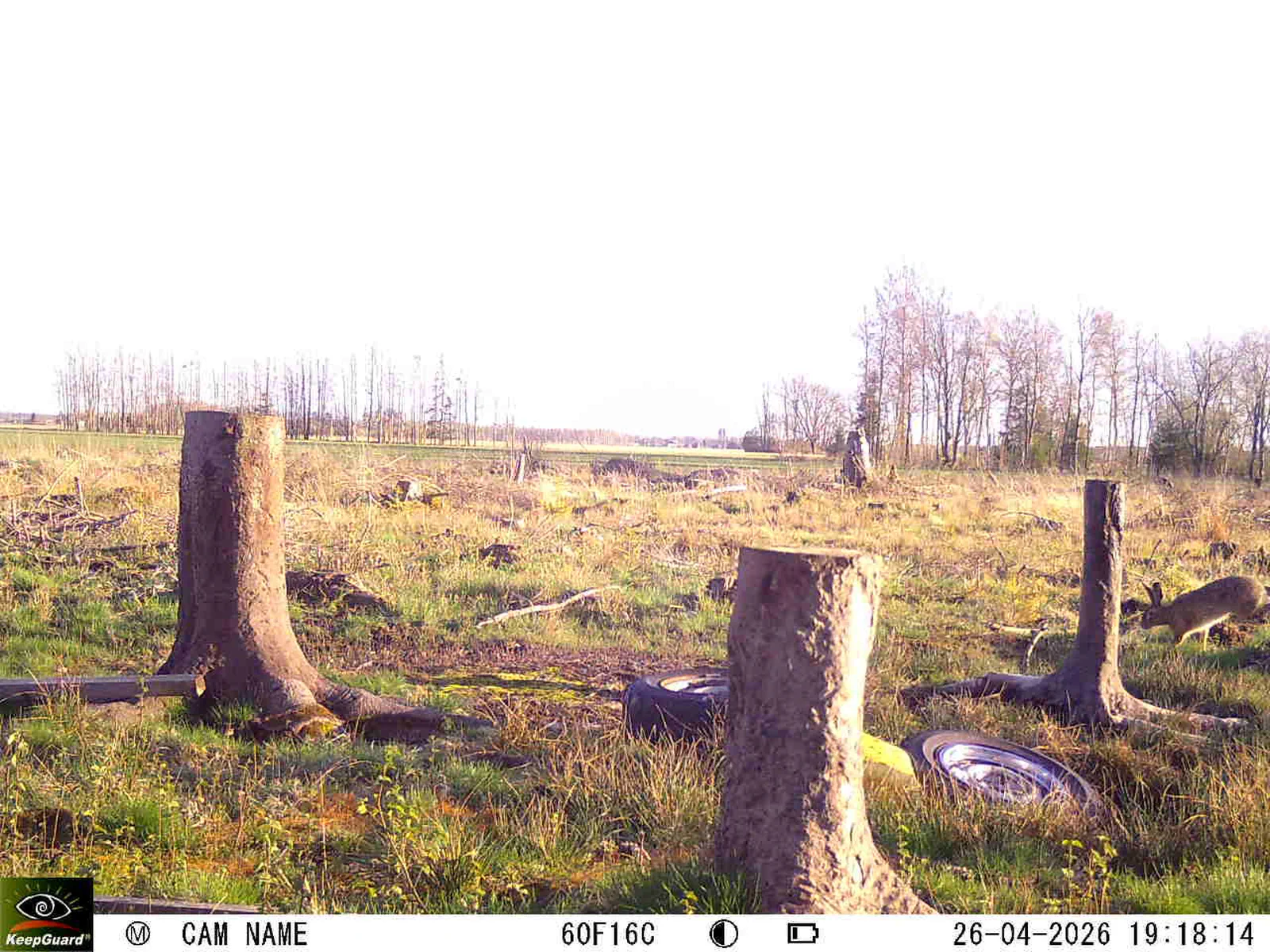 Bild: 1777224168132170504_04260775.webp