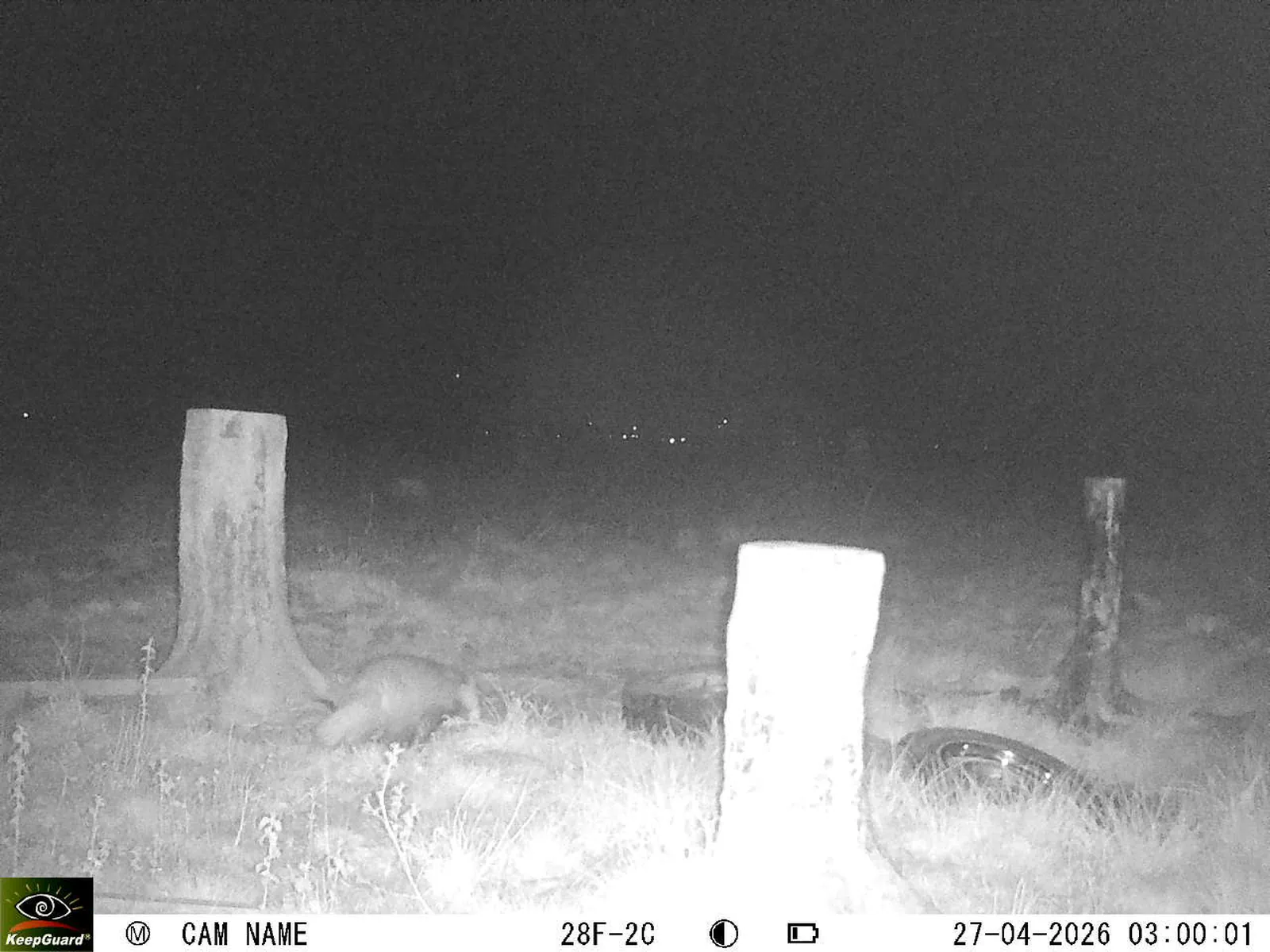 Bild: 1777251875785596722_04270776.webp