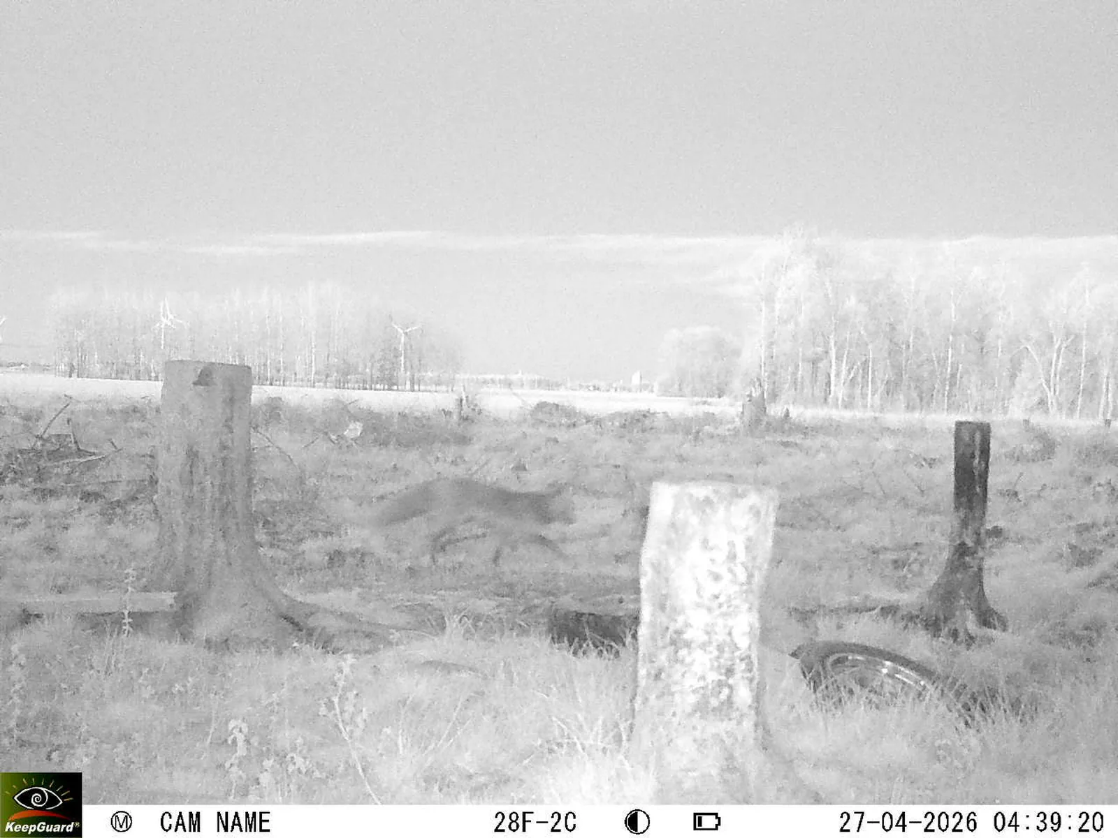 Bild: 1777257835206814439_04270777.webp