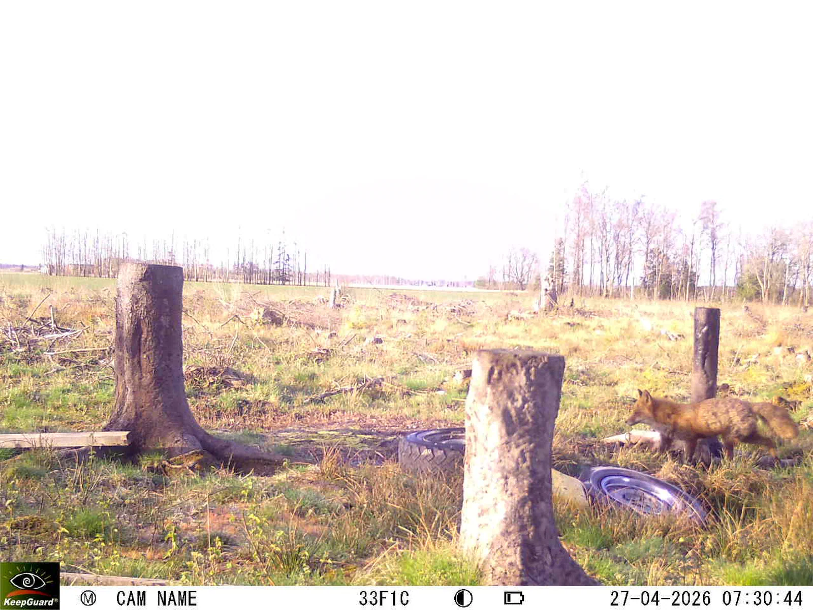 Bild: 1777268121176881133_04270778.webp