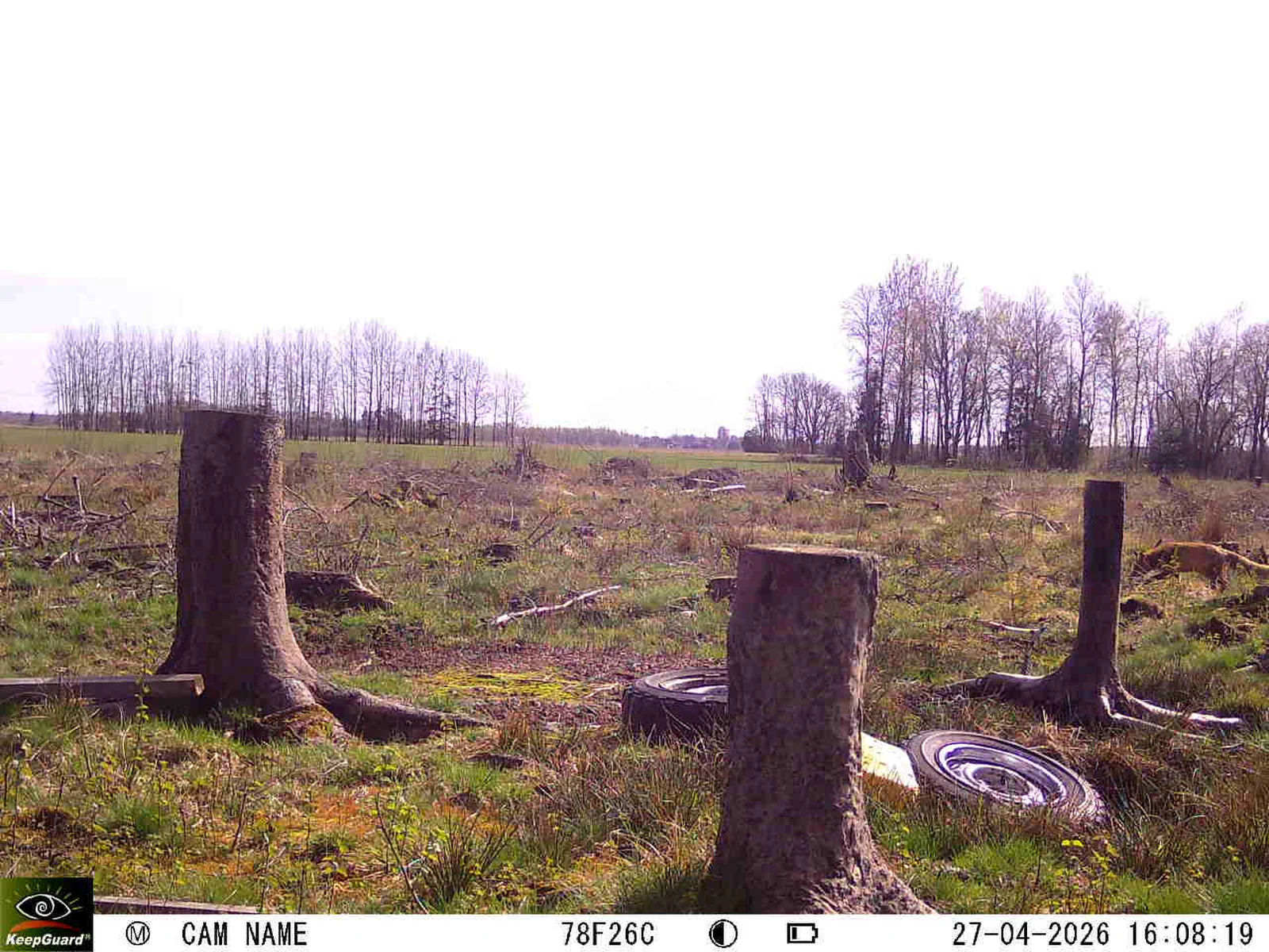 Bild: 1777299174352065615_04270780.webp