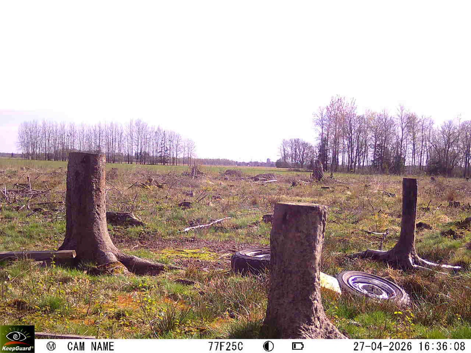 Bild: 1777300842454181324_04270781.webp