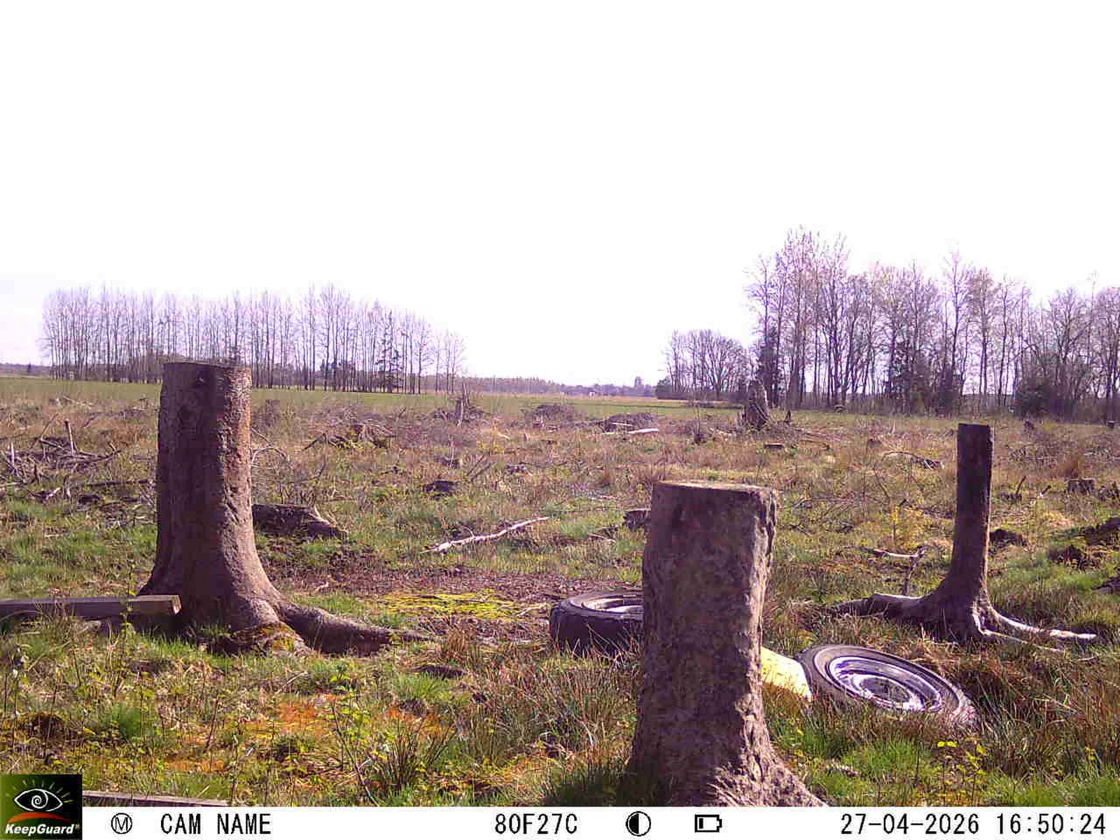 Bild: 1777301697337208792_04270782.webp