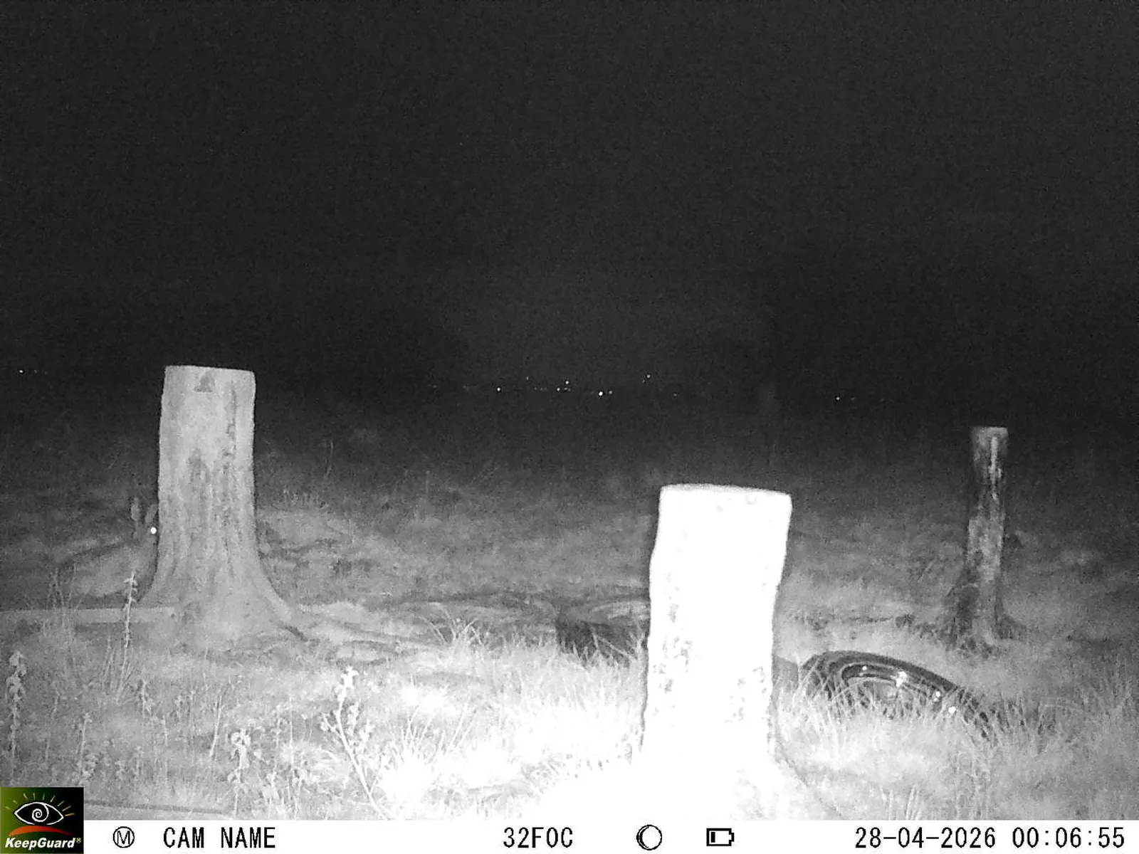 Bild: 1777327890578928637_04280783.webp