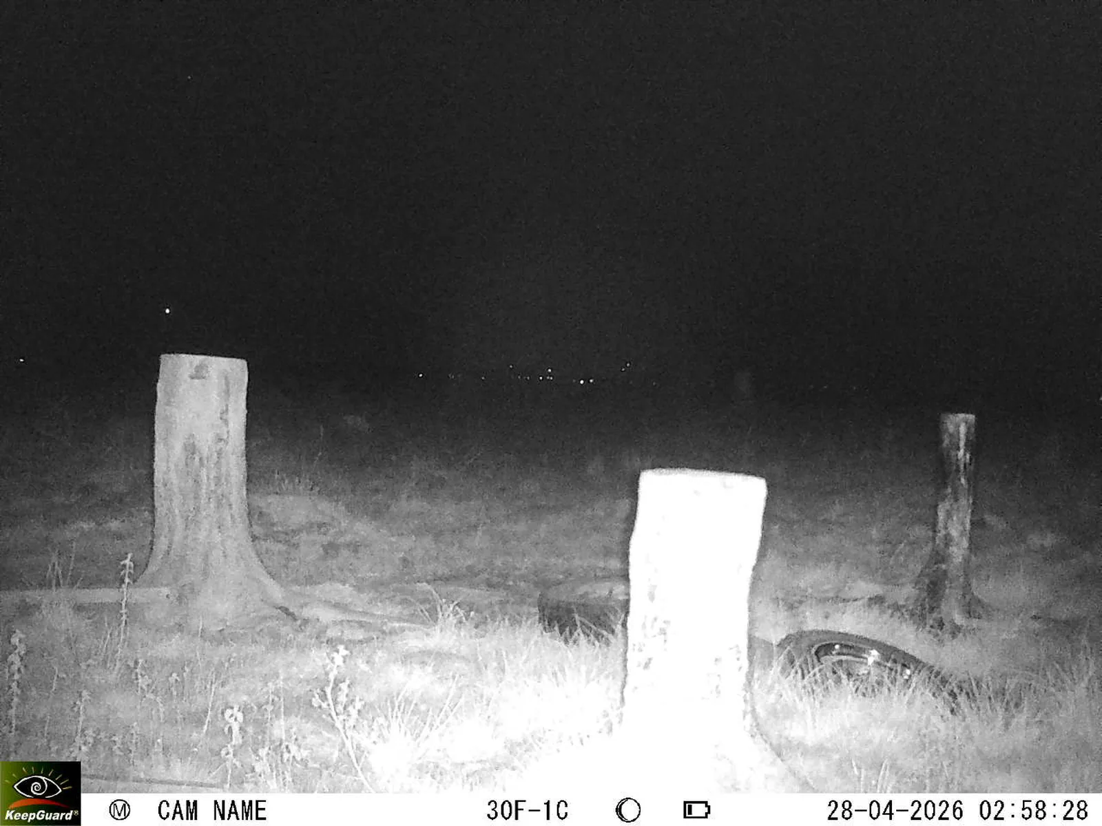 Bild: 1777338184236757857_04280784.webp