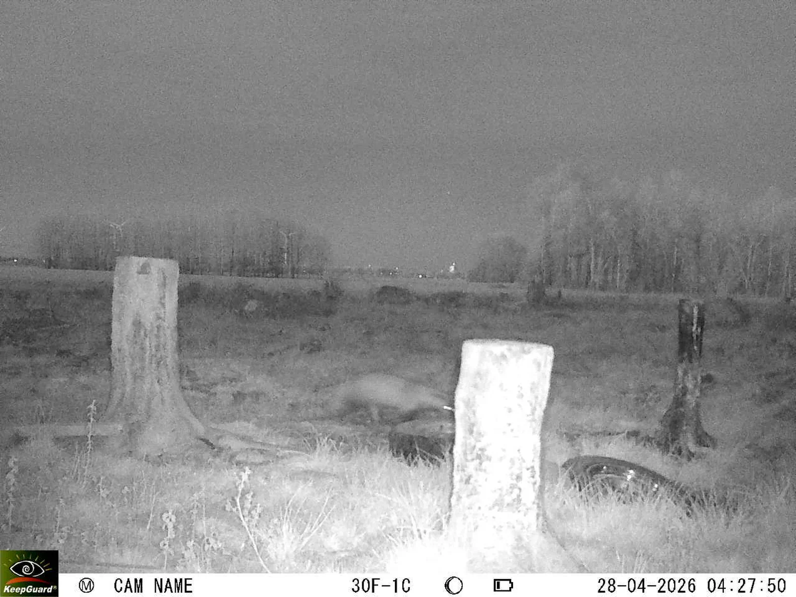 Bild: 1777343546038030696_04280785.webp