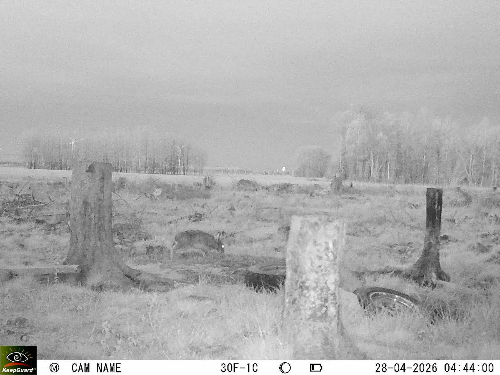 Bild: 1777344516665163377_04280786.webp