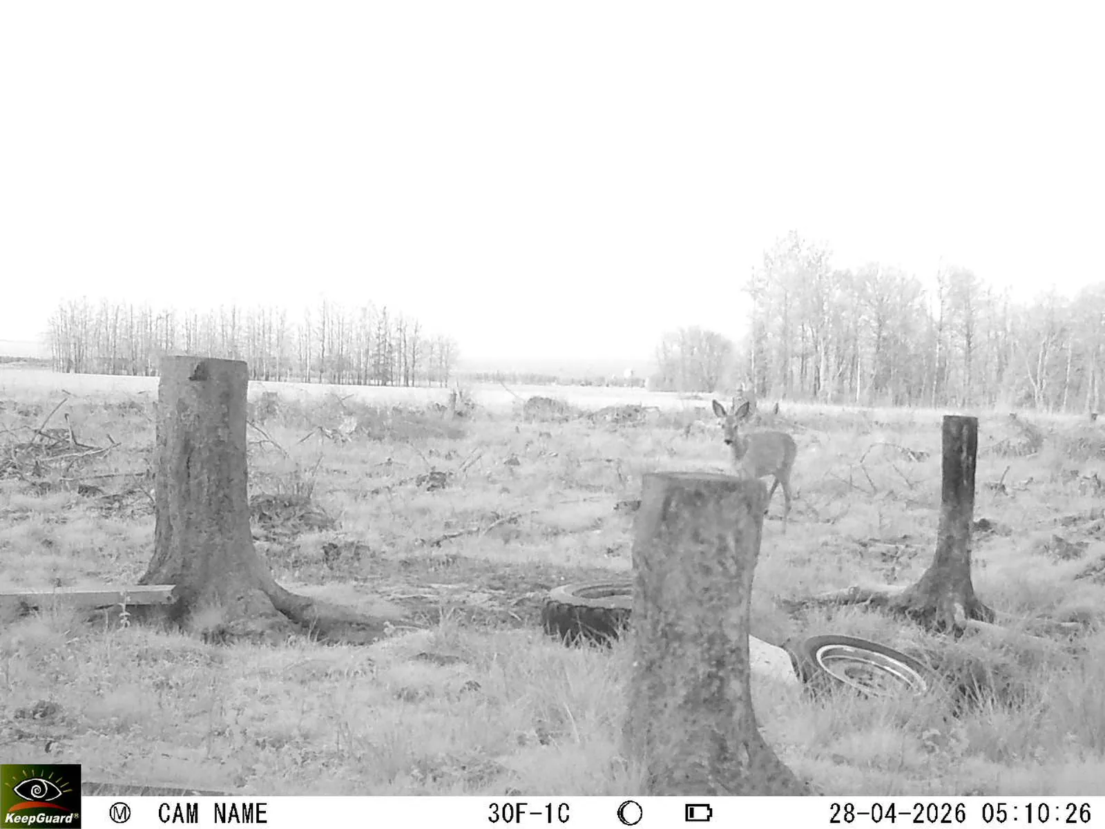 Bild: 1777346101184599531_04280787.webp