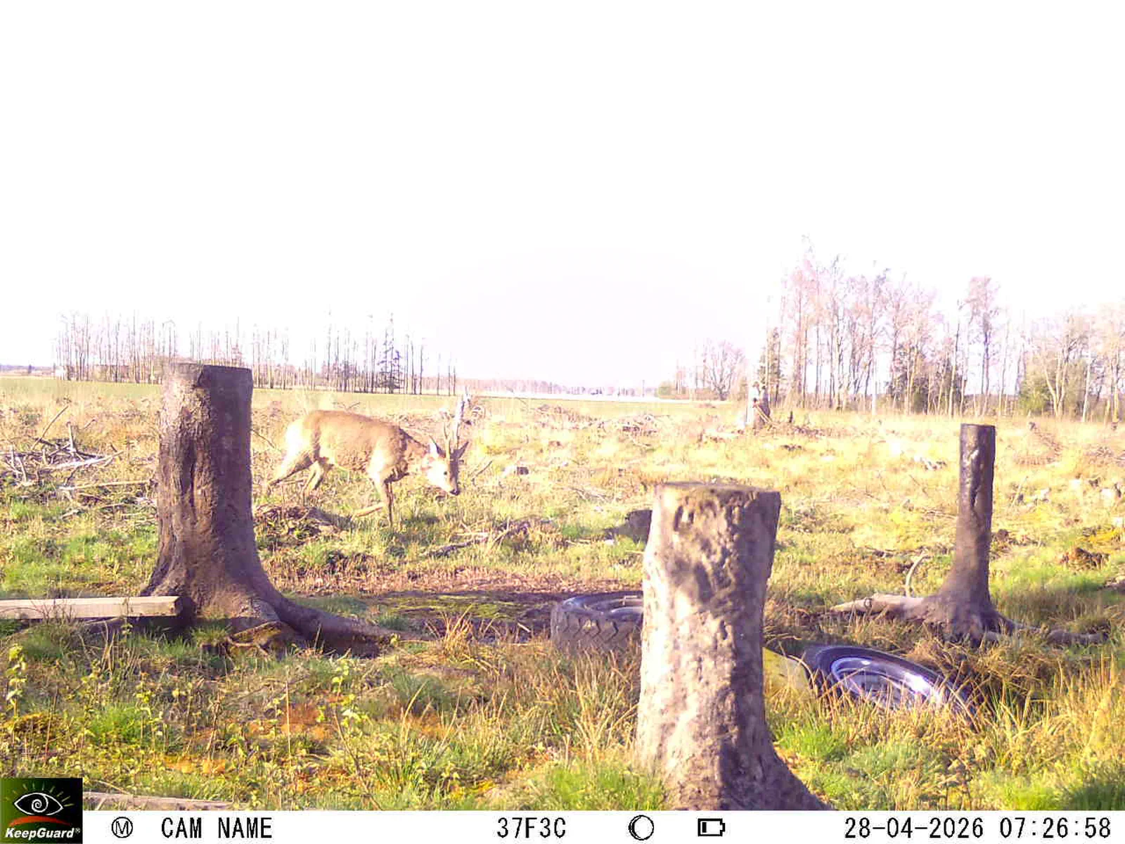 Bild: 1777354294136074689_04280788.webp