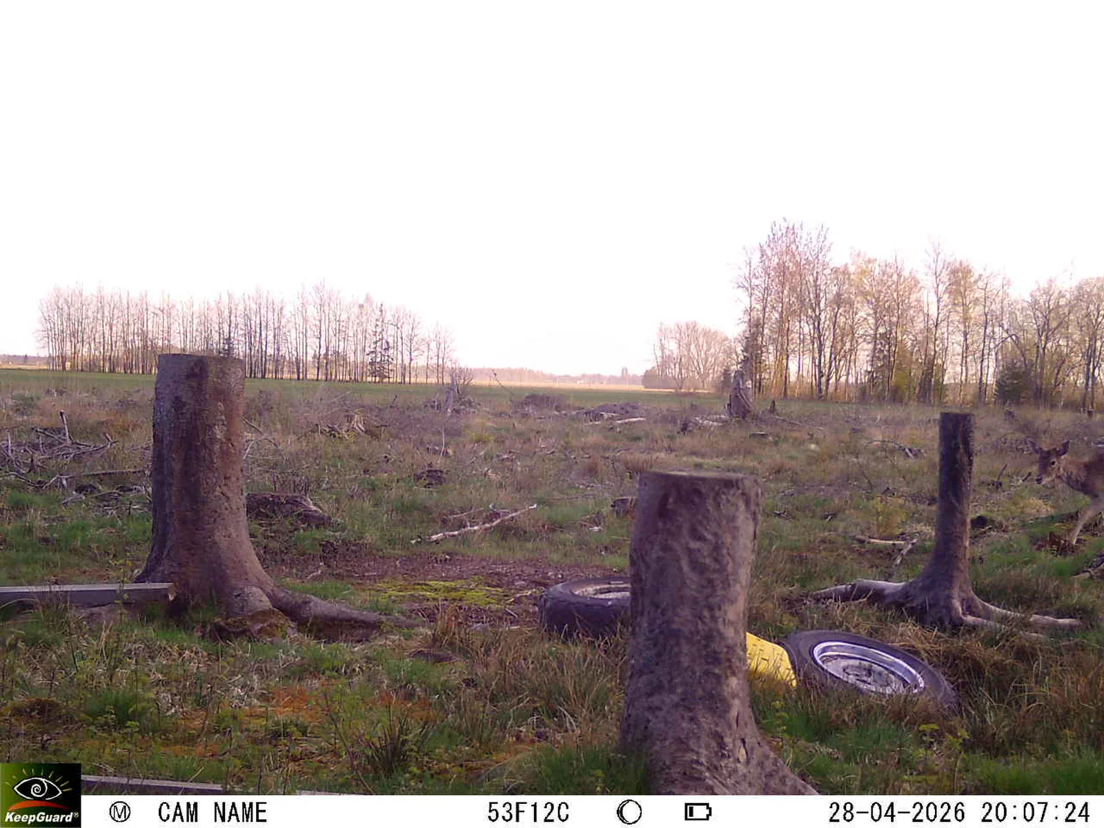 Bild: 1777399921285228052_04280789.webp