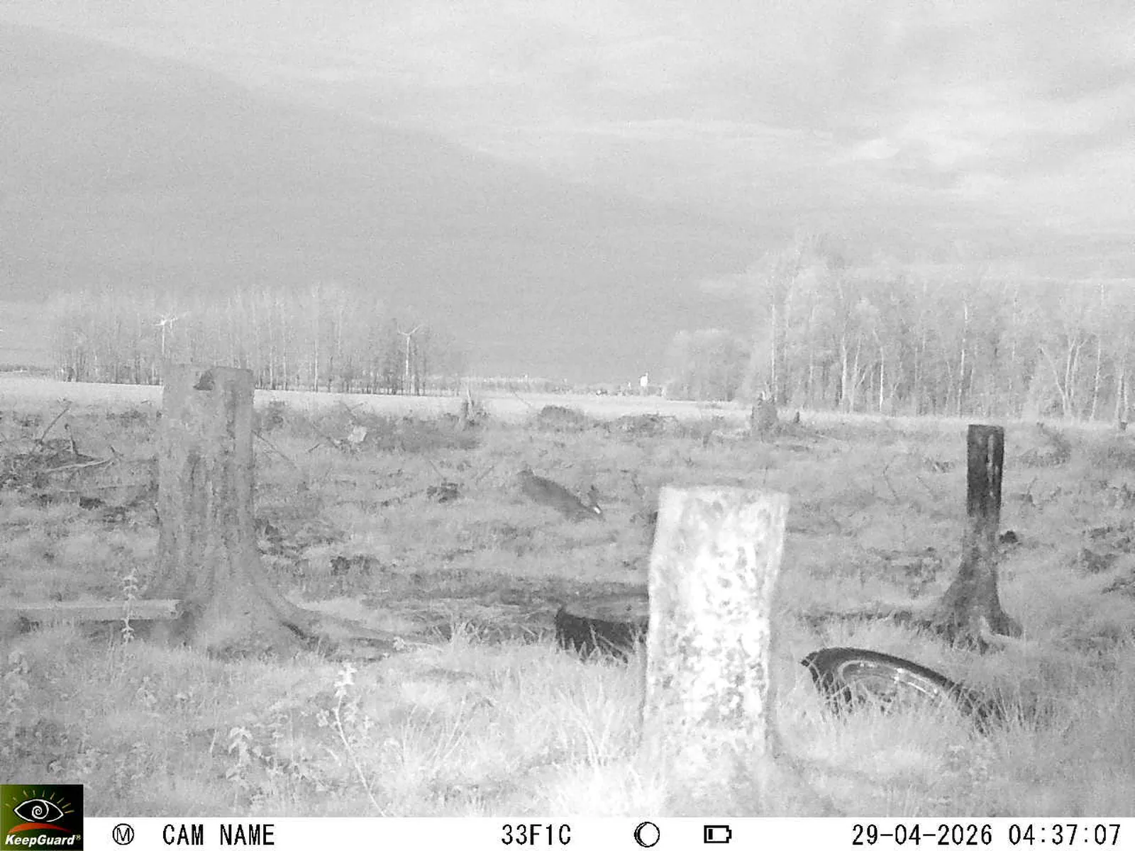 Bild: 1777430506900949663_04290790.webp