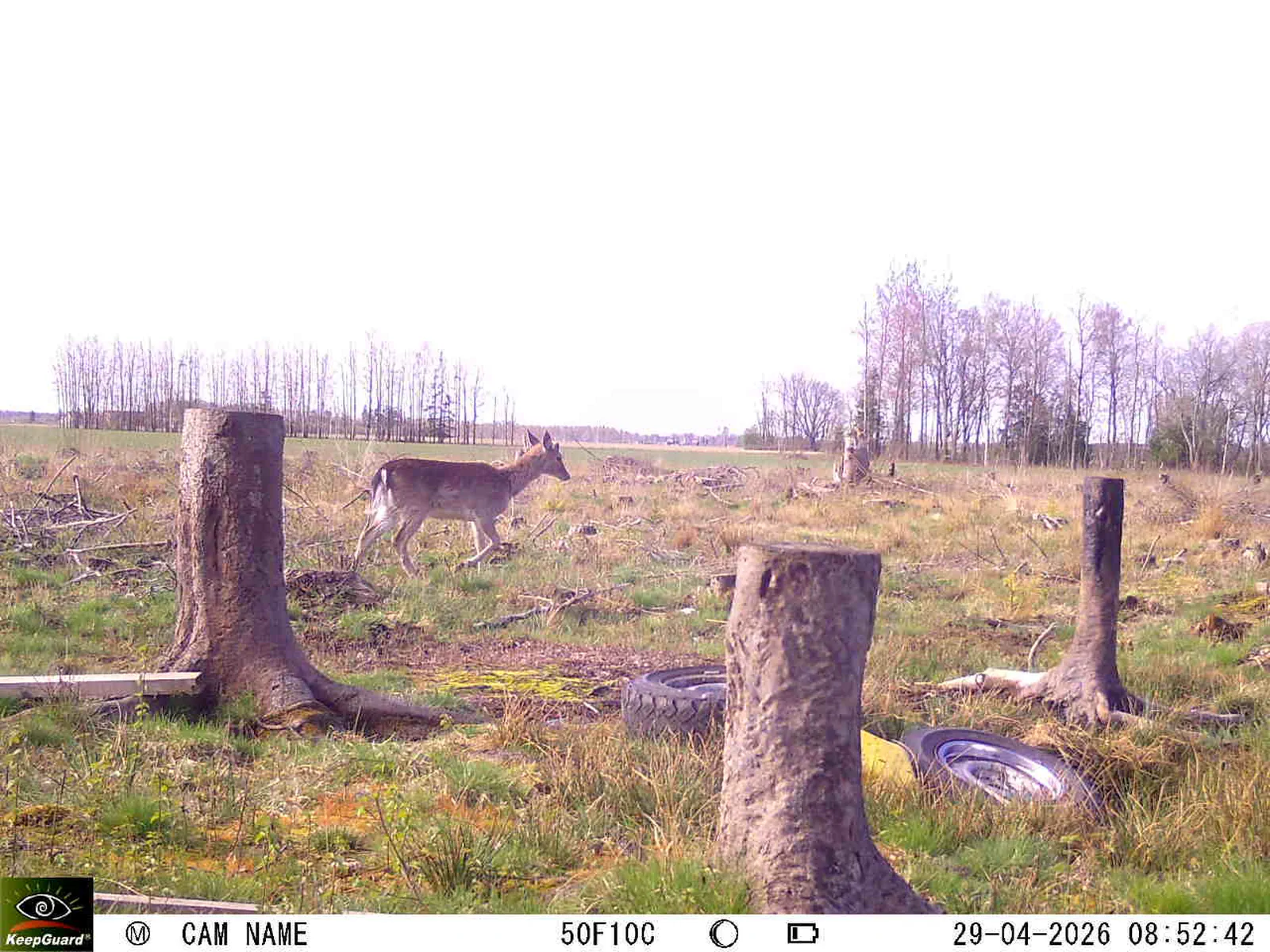 Bild: 1777445840965807290_04290791.webp