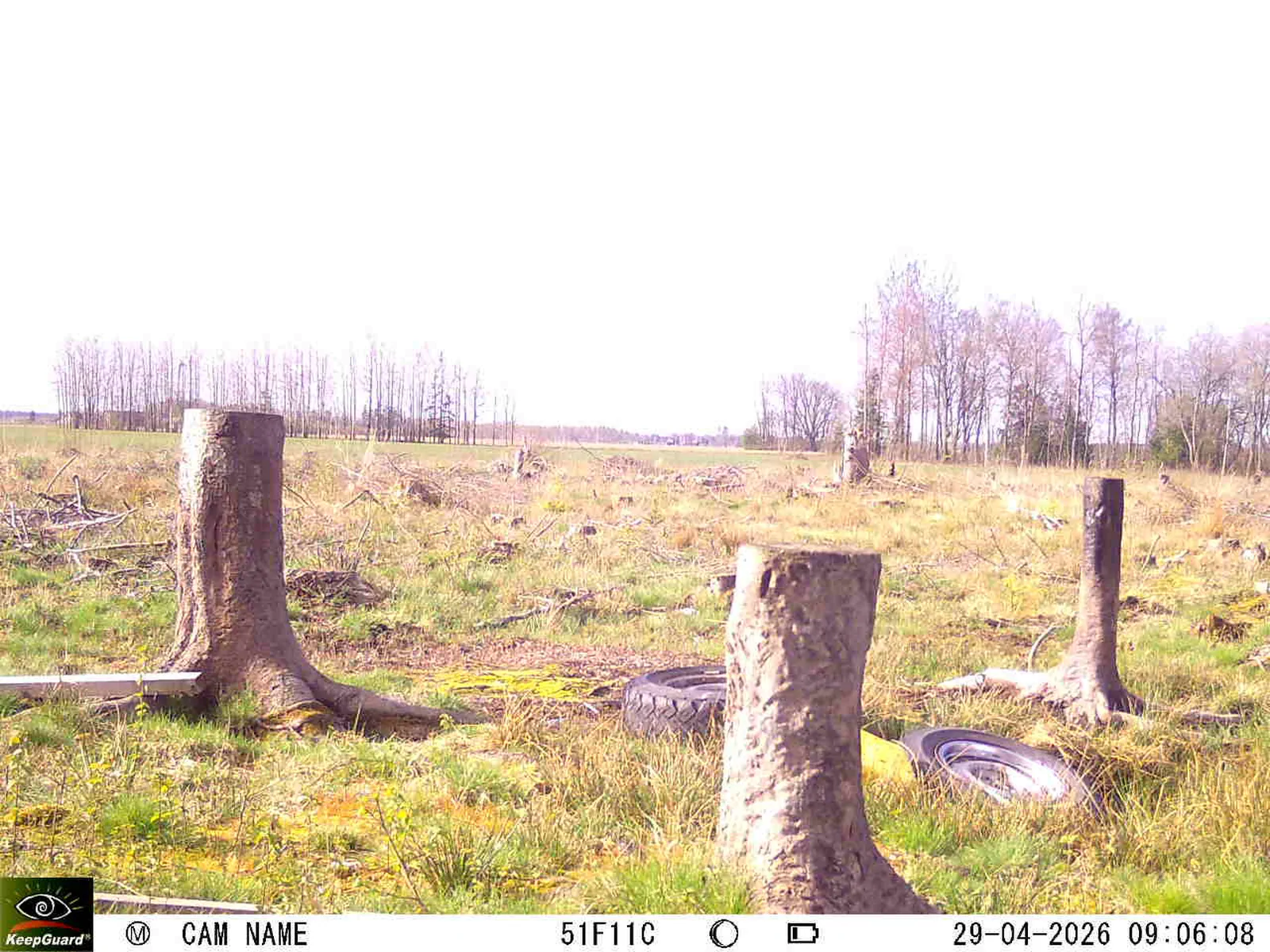 Bild: 1777446656284813290_04290792.webp