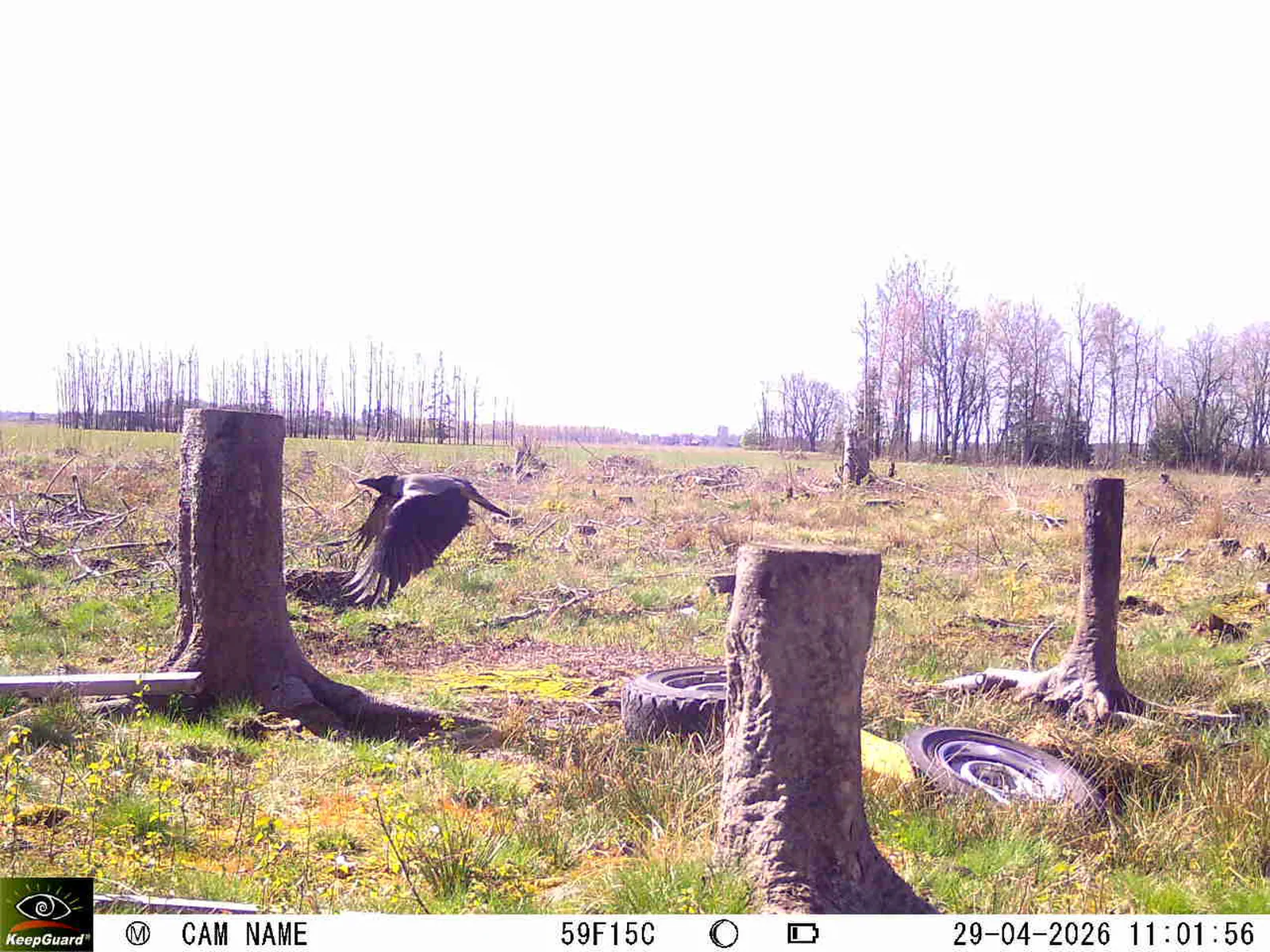 Bild: 1777453597967177269_04290793.webp