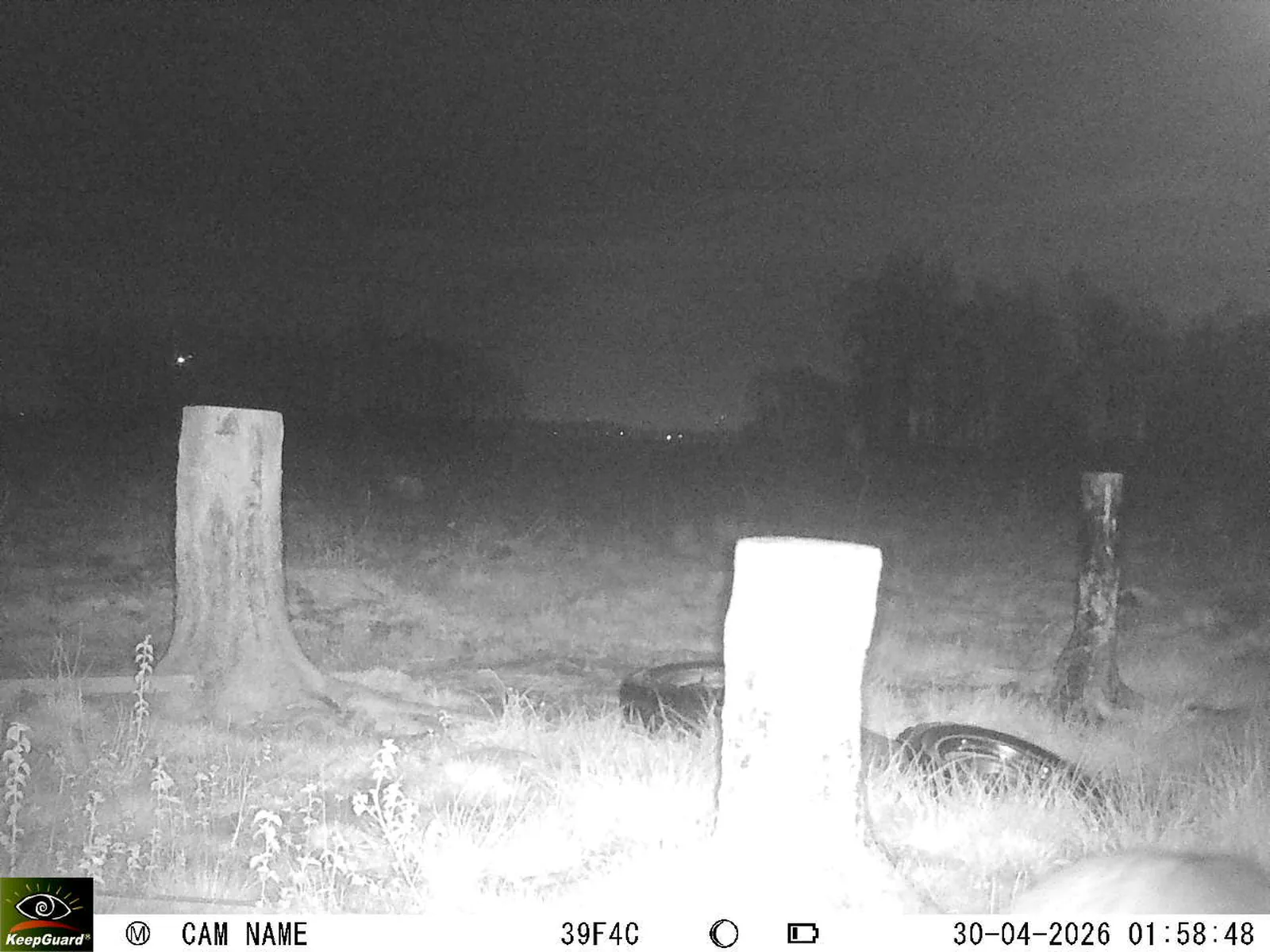 Bild: 1777507405183441090_04300794.webp