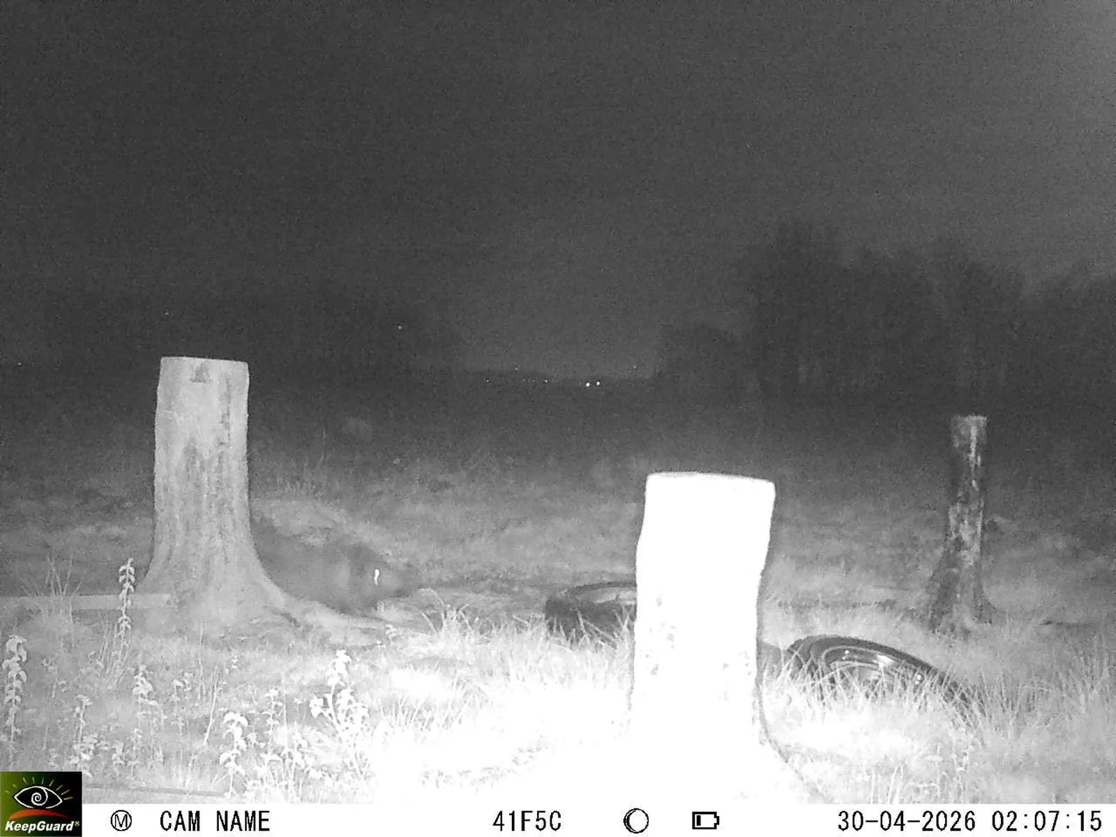 Bild: 1777507910456240036_04300795.webp